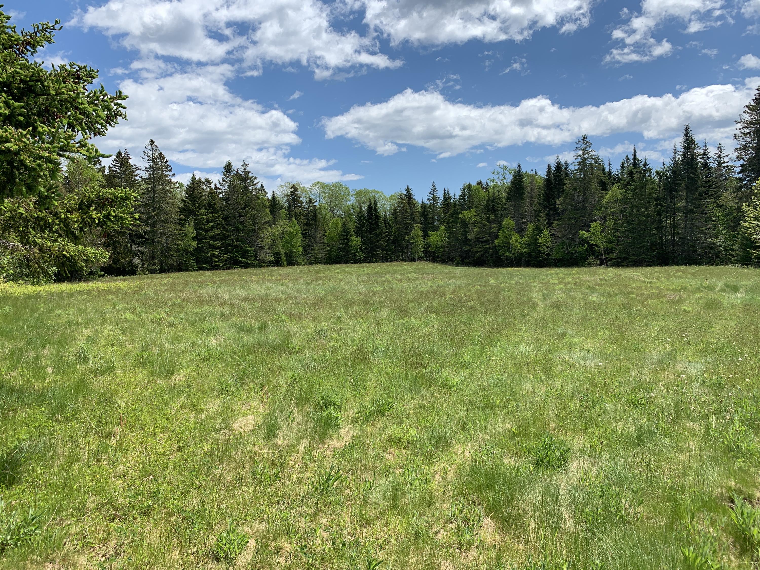 1 Daggett Road, Perry, ME, 04667