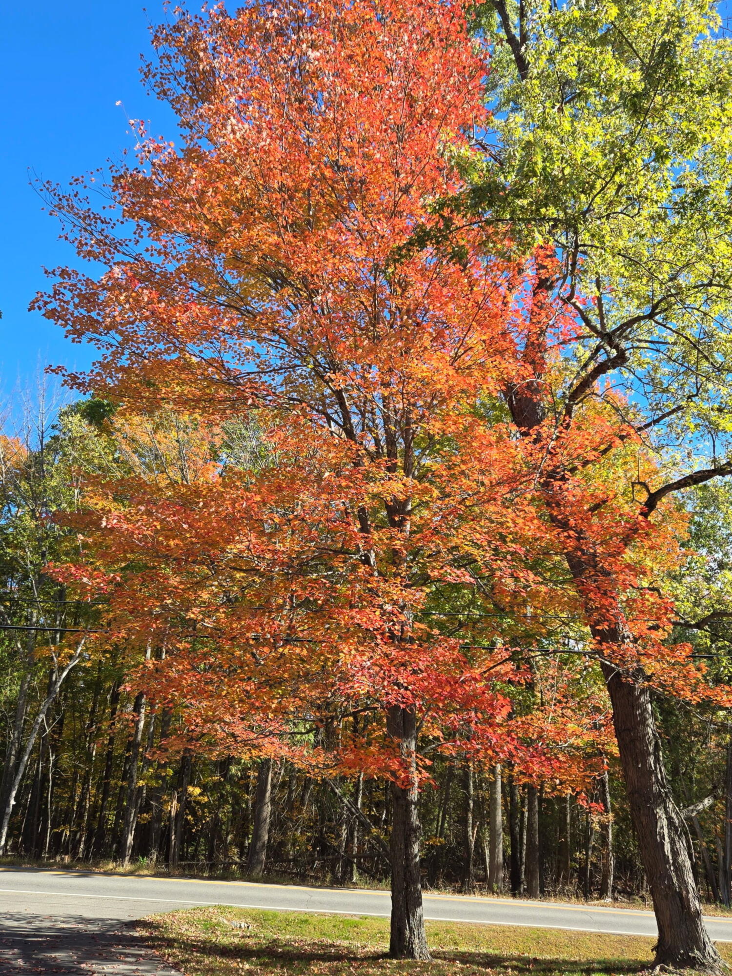 1522 Pushaw Road, Glenburn, ME, 04401