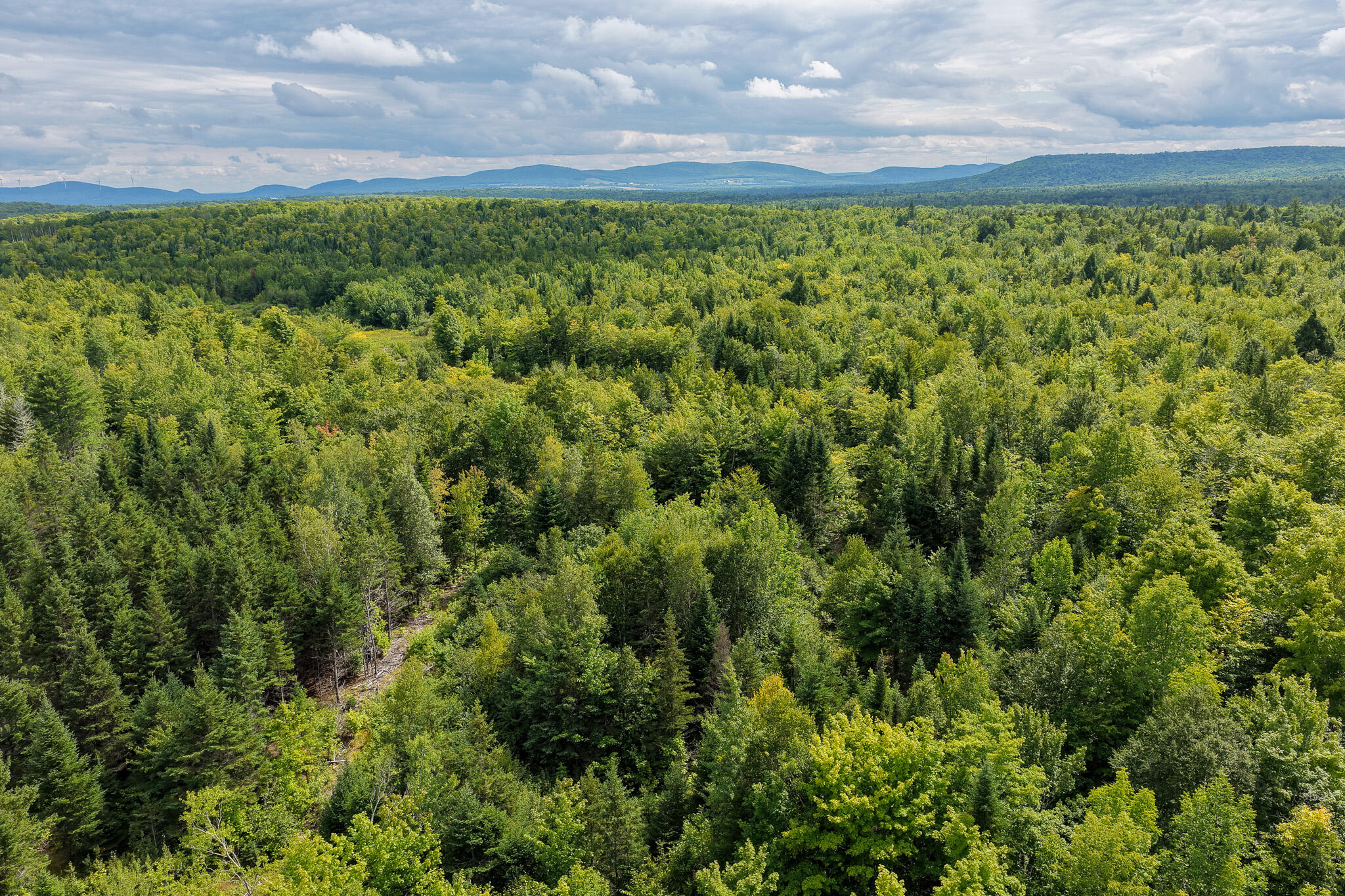 Photo of M3L11 Off Route 212 Merrill ME 04780