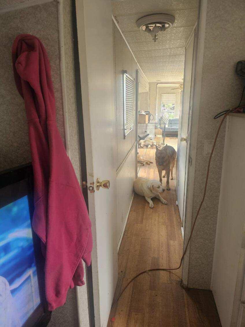 75 Doucette Road, Grand Isle, ME, 04746