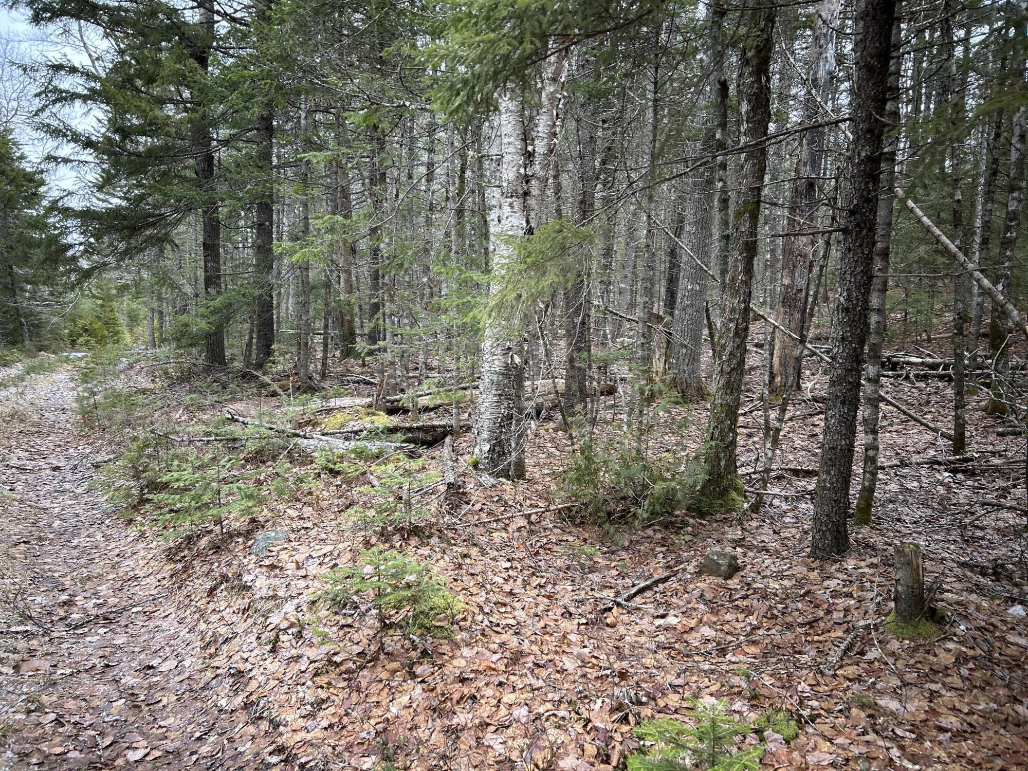 WA31P01L21 Kings Street, Dennysville, ME, 04628