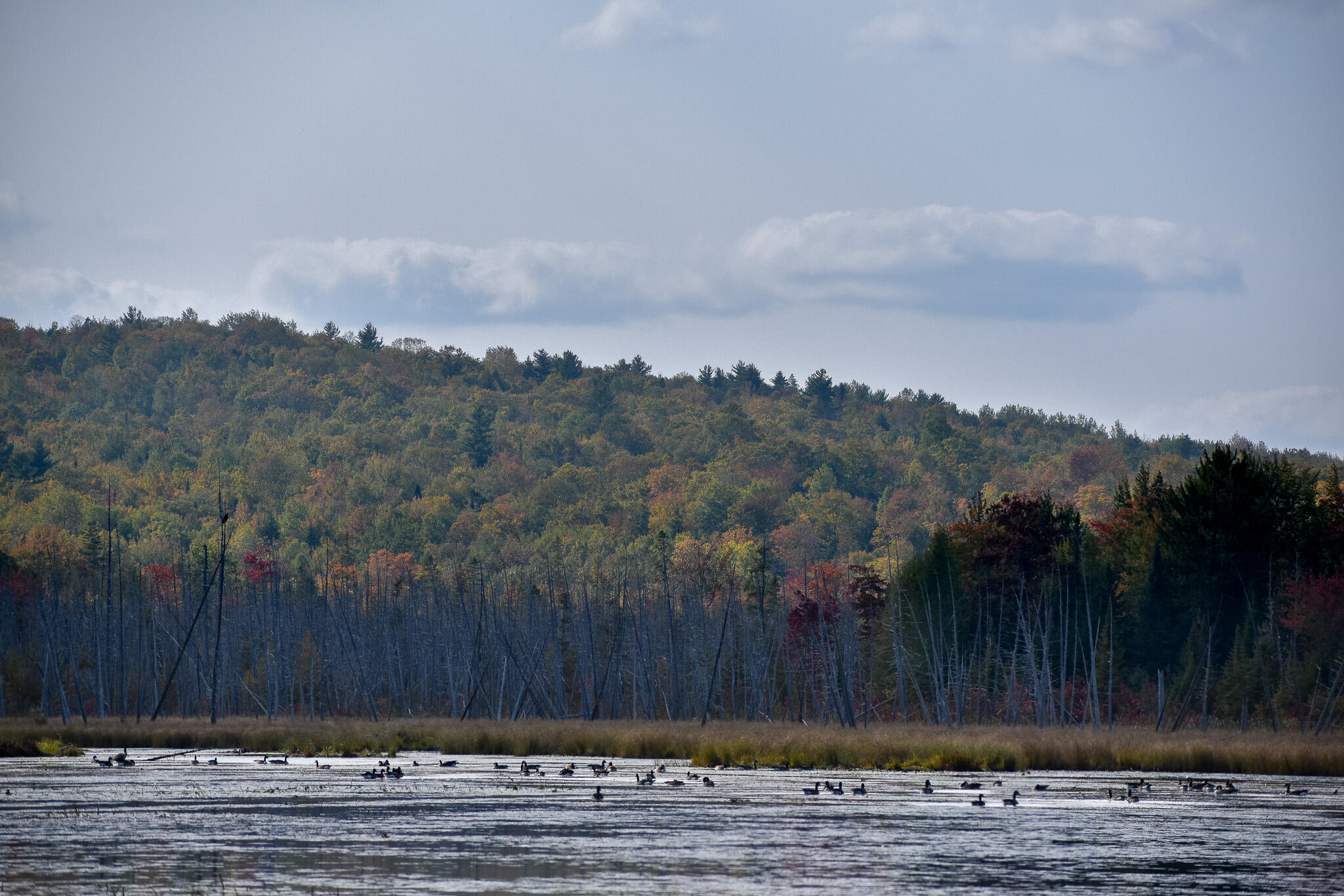 54 Carver Road, Milo, ME, 04463