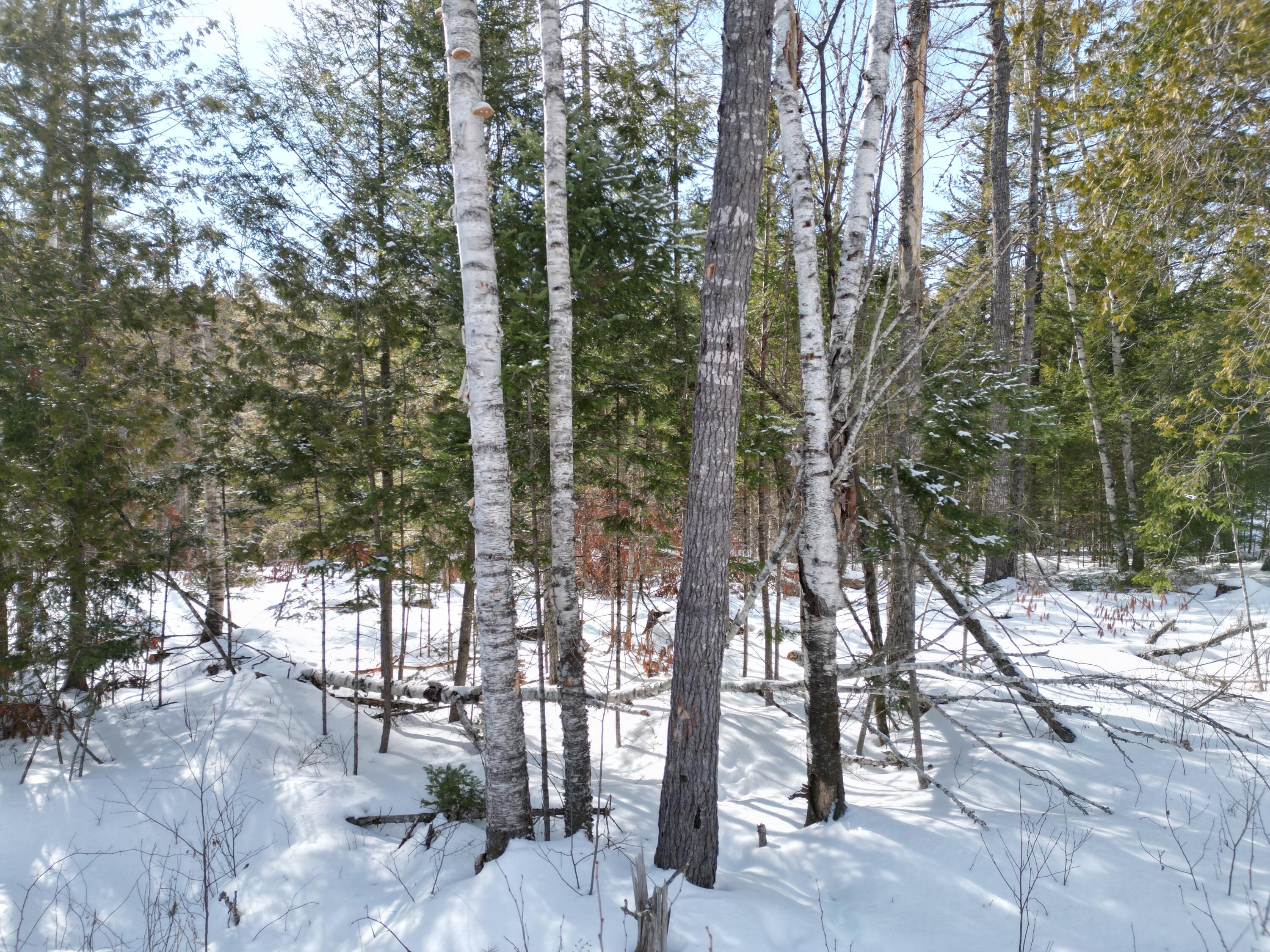 8 Twin Springs Lane, Lincoln, ME, 04457