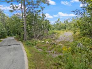 Search Homes for Sale