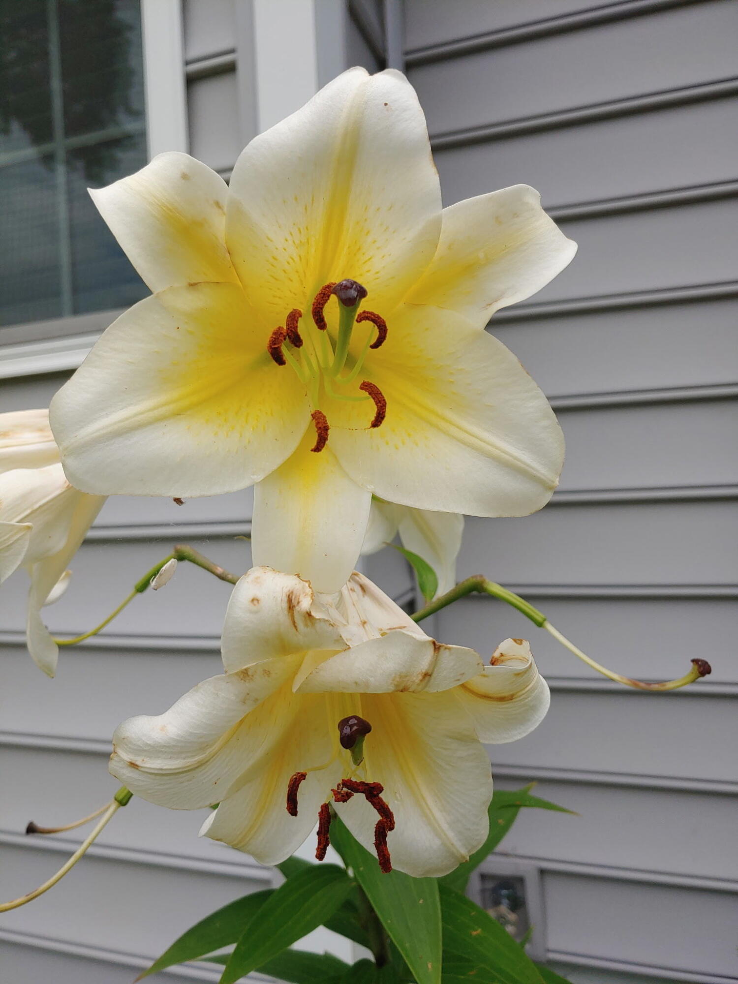 48 Pennell Avenue, Portland, ME, 04103