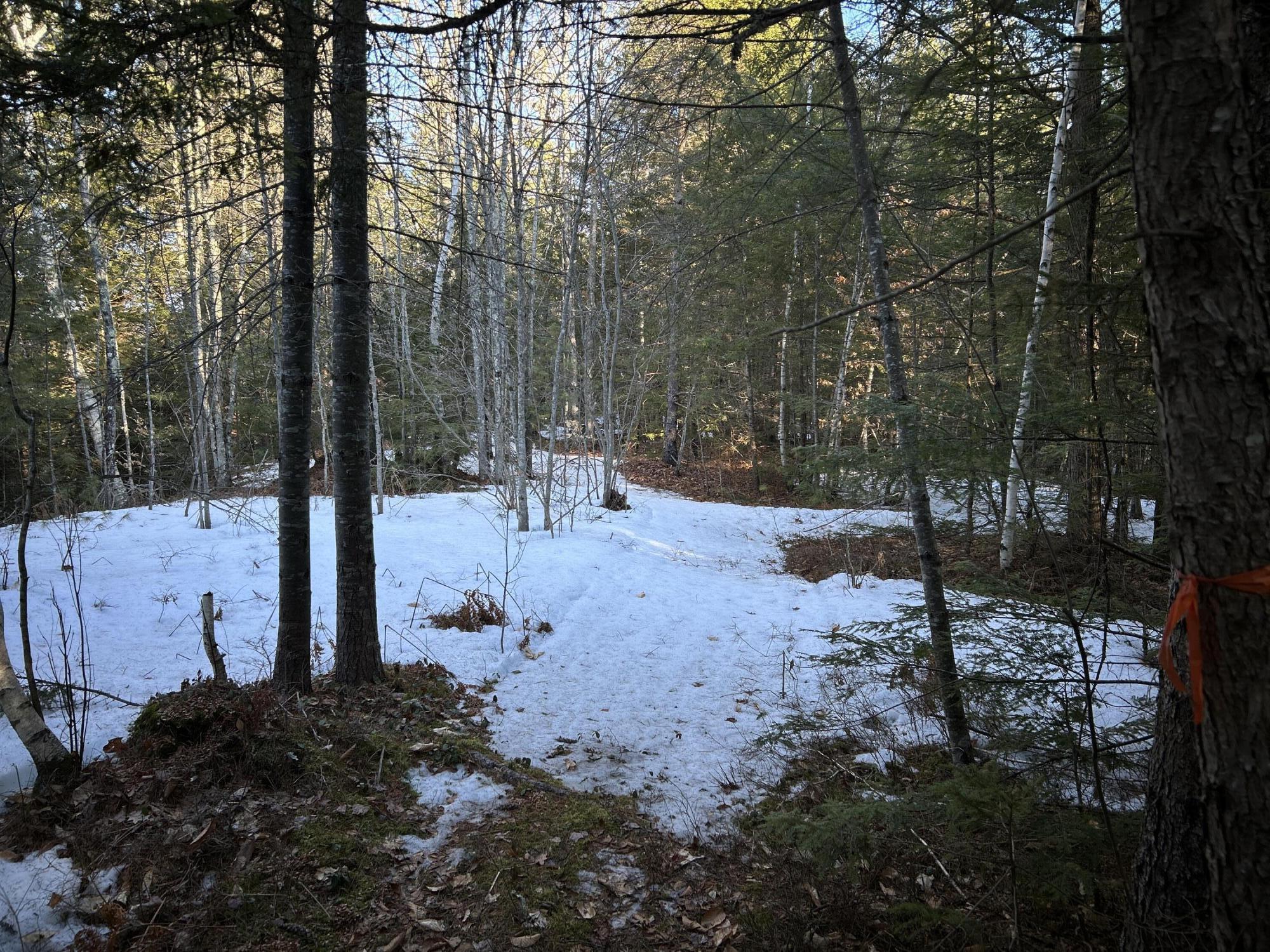 Map13Lot11 Field View Road, Fryeburg, ME, 04037