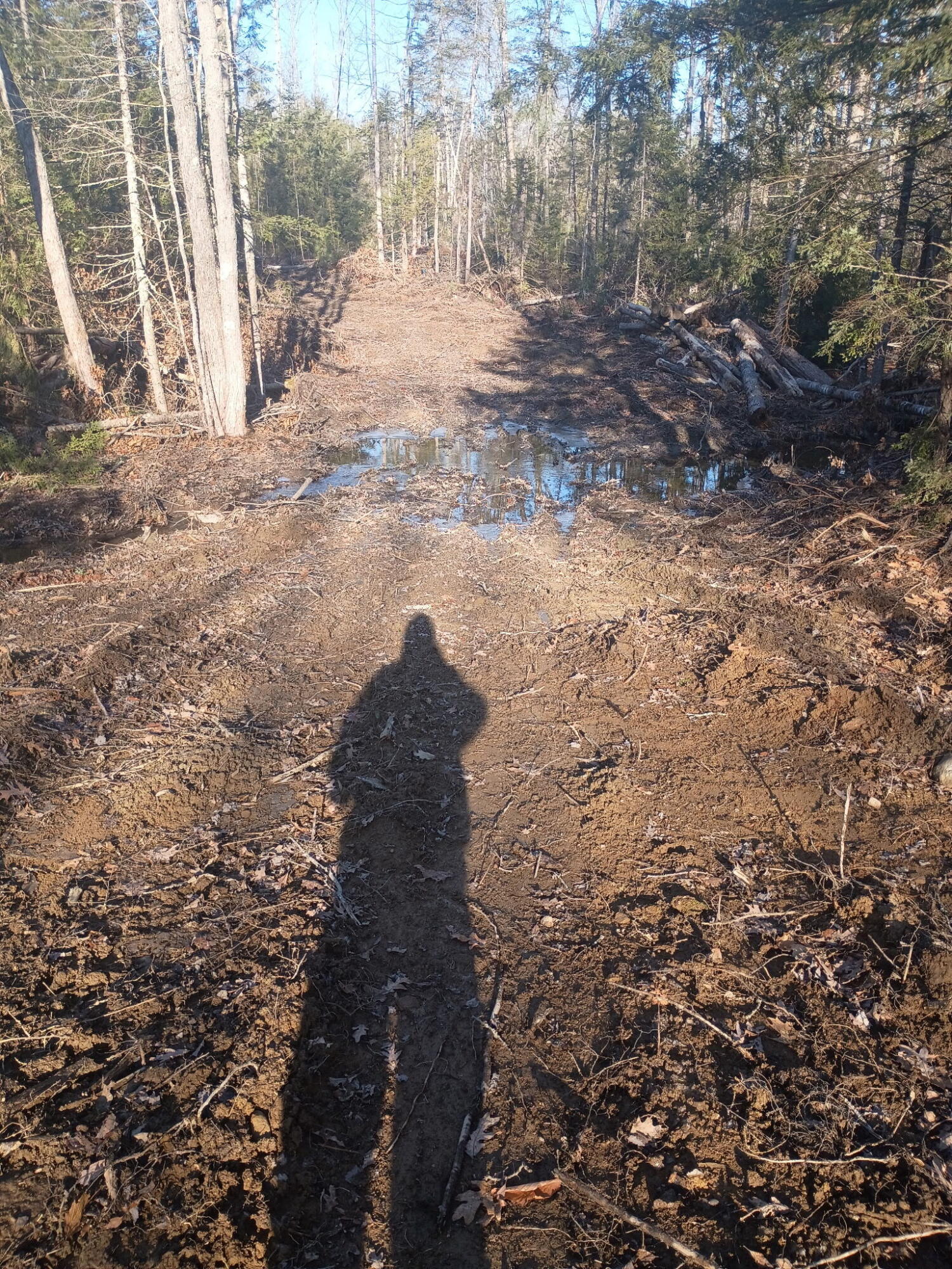 848 Old Stage Road, Woolwich, ME, 04579