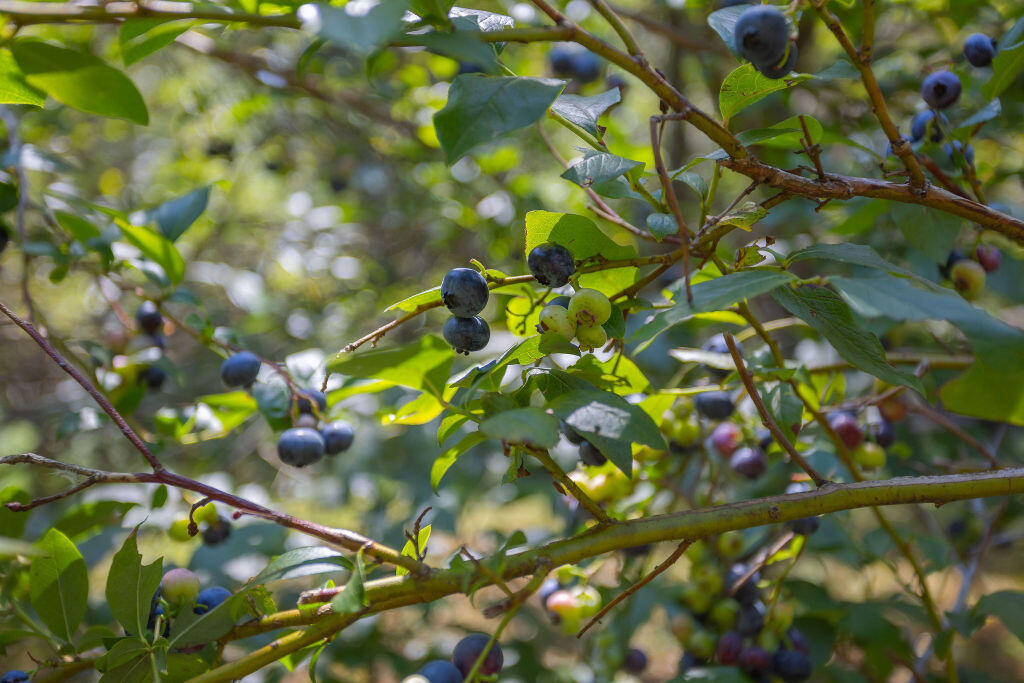 72 Main Street, Peru, ME, 04290