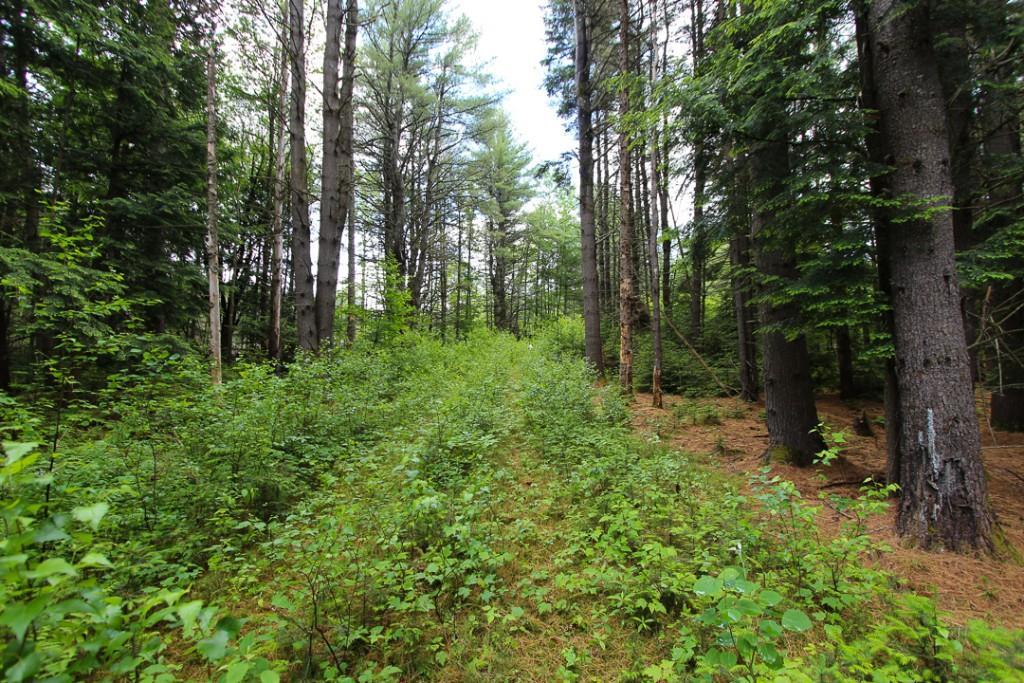 00 Cross Street, Greenwood, ME, 04255