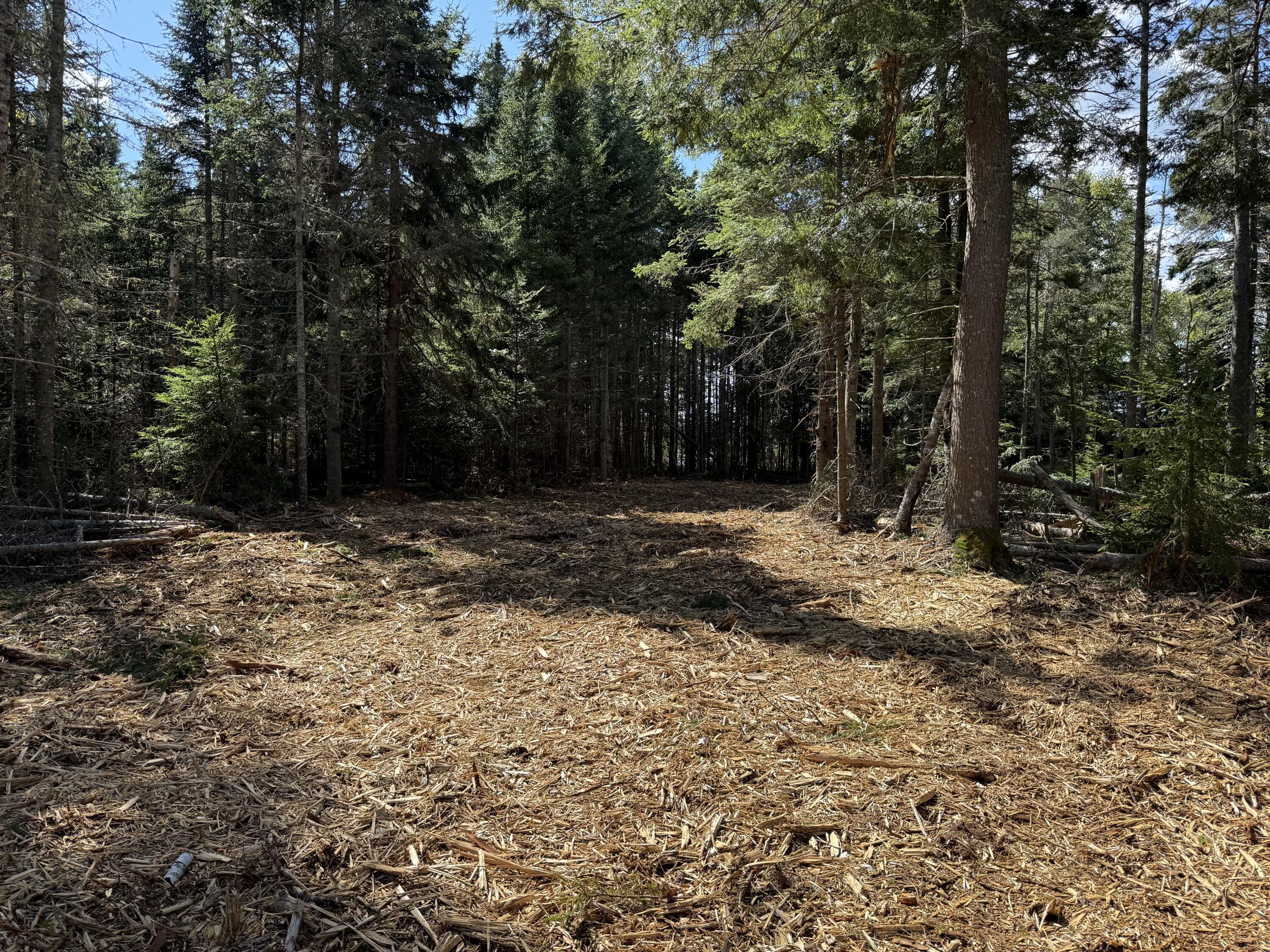 1552 Turtle Head Road, Islesboro, ME, 04848