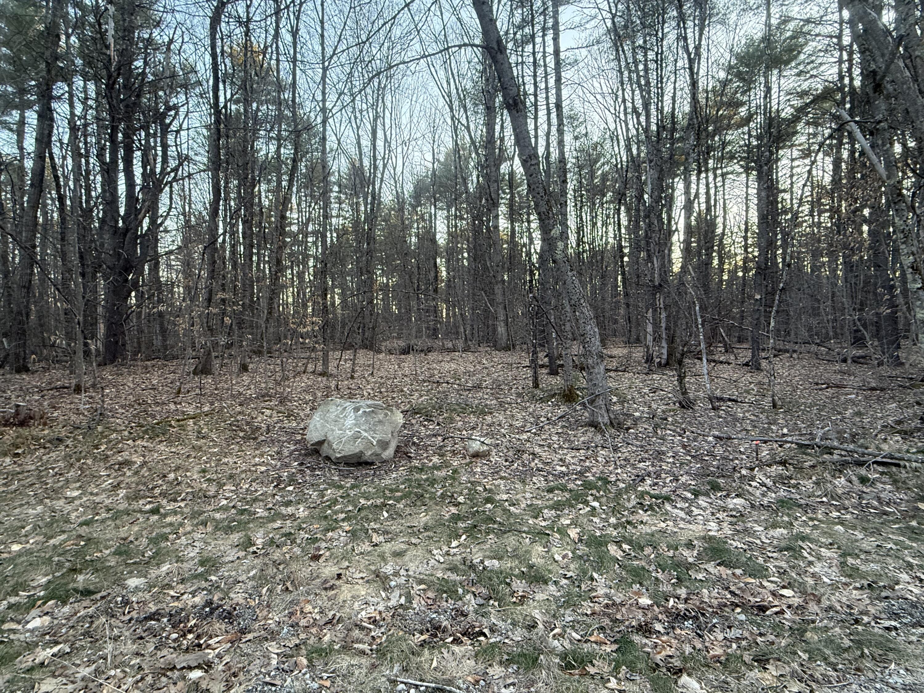 012-002 E Bethel Road, Bethel, ME, 04217