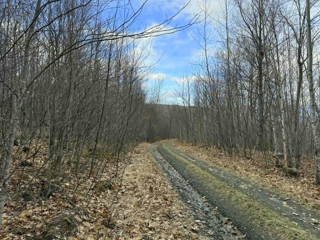 14 Scenic Heights Drive, Oxford, ME, 04270