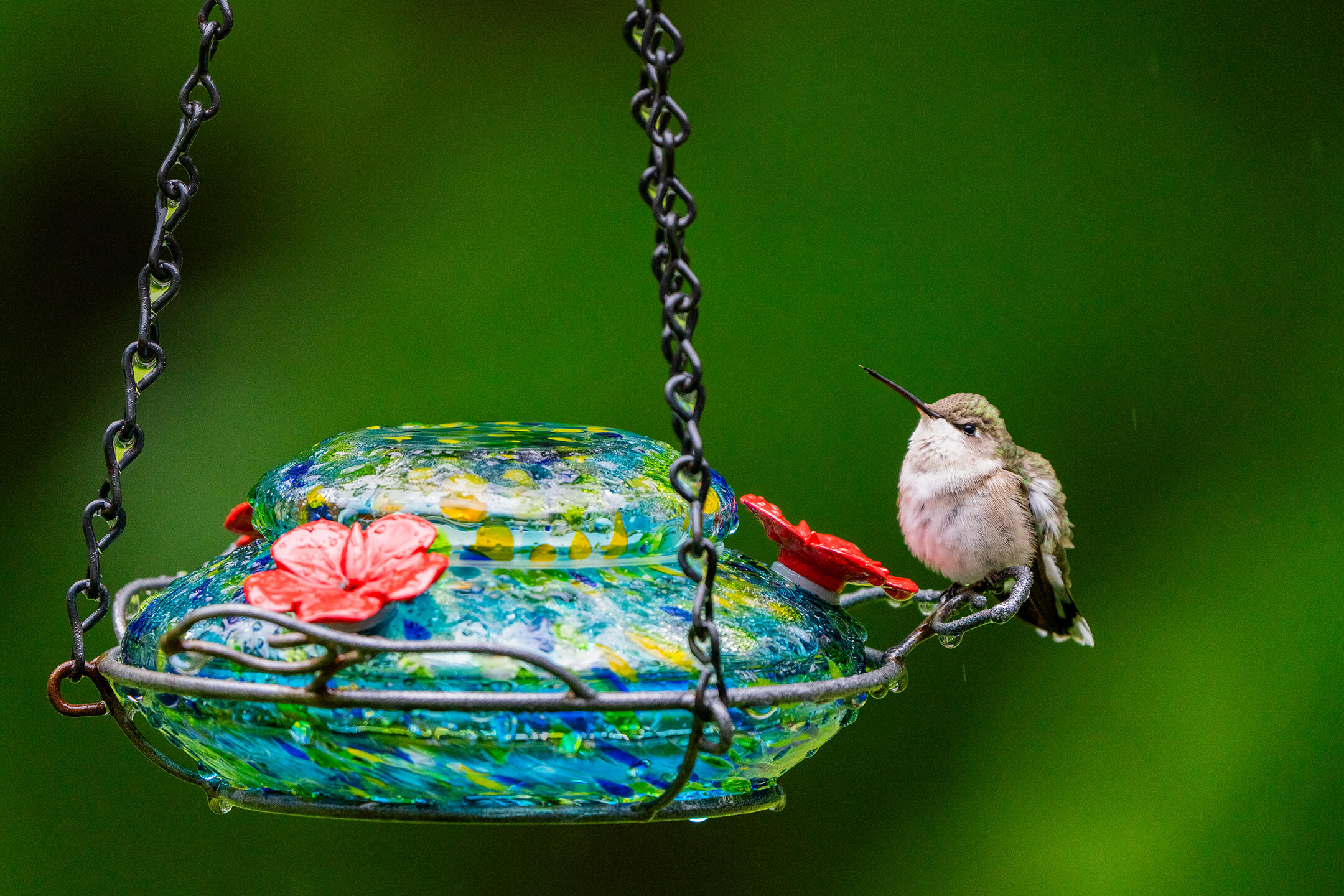 46 River Edge Drive, Woolwich, ME, 04579