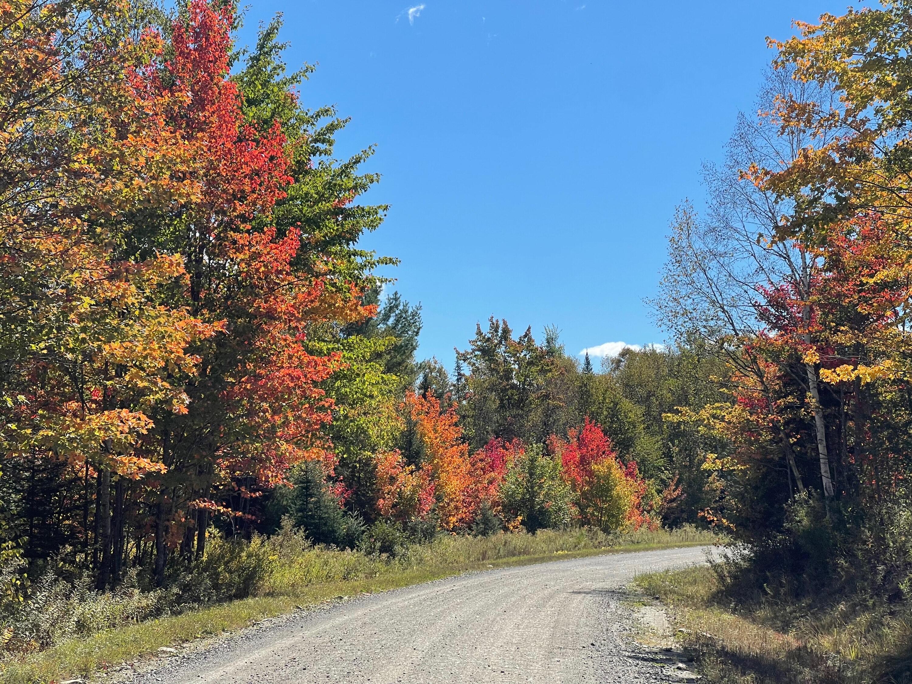 TBD Paradise Lane, Tomhegan Twp, ME, 04478