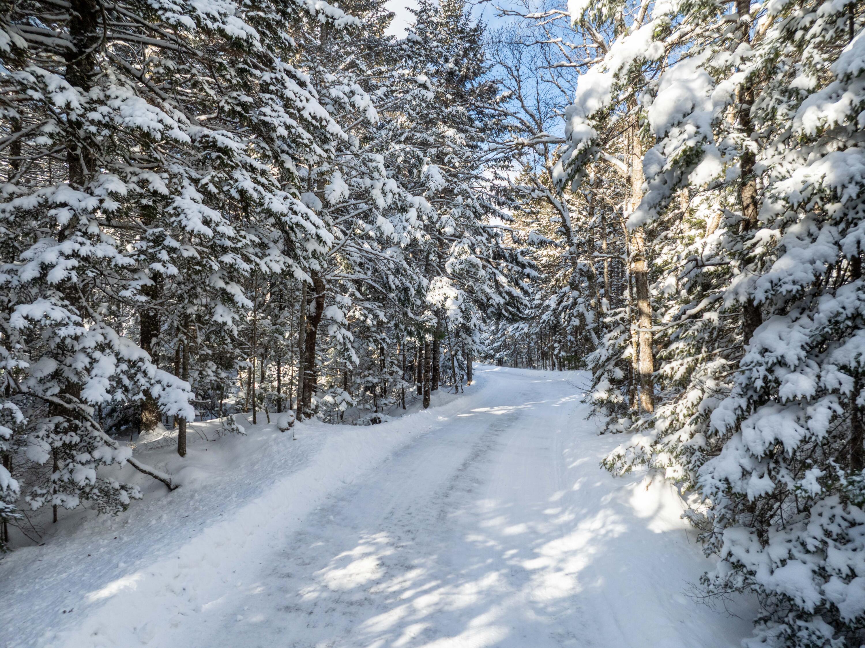 Undisclosed Address, Whiting, ME, 04691