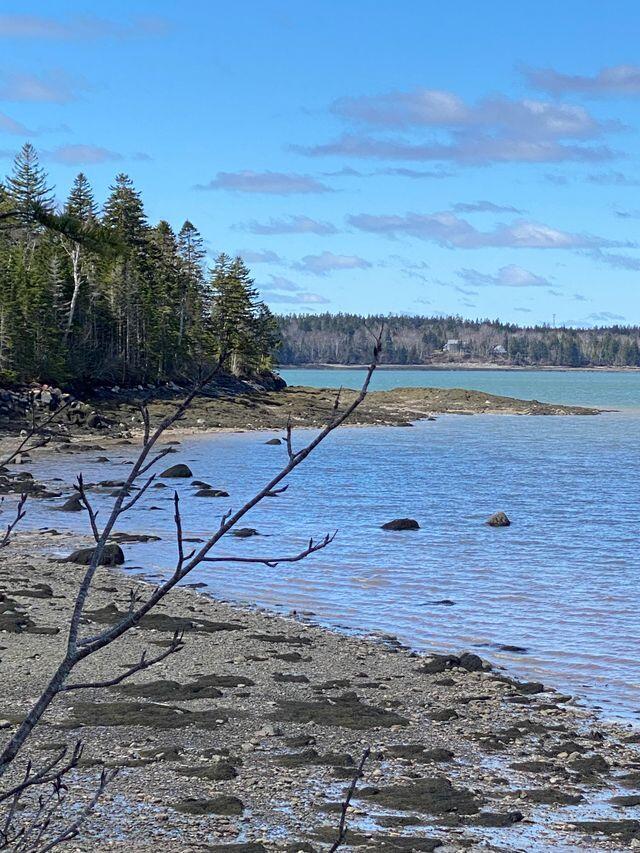 Lot 17A Yoho Head Road, Machiasport, ME, 04655