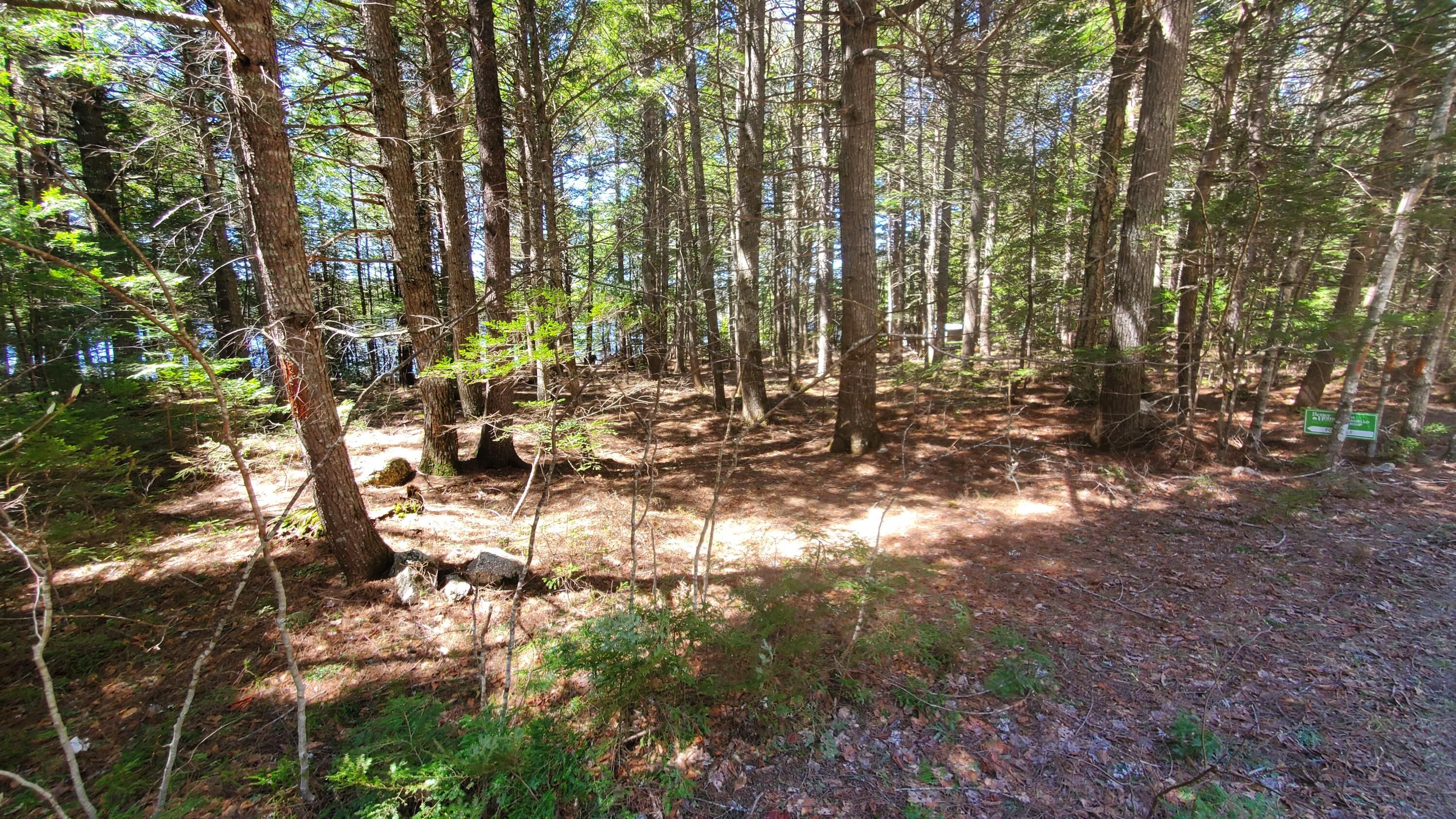 307 Lakeville Shores Road, Lakeville, ME, 04487