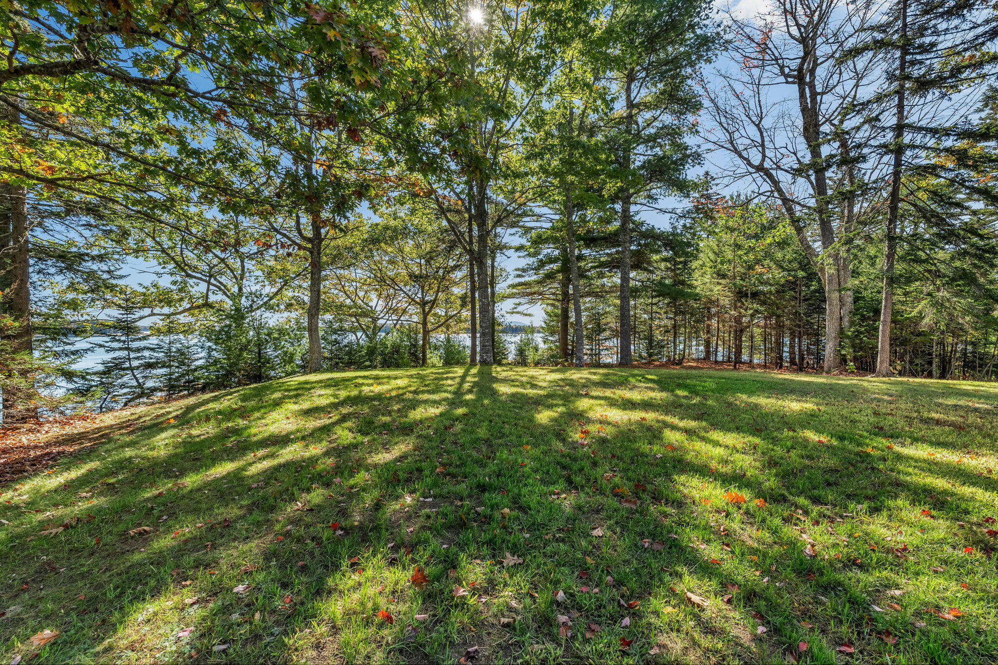 82 Falcon Lane, Lamoine, ME, 04605