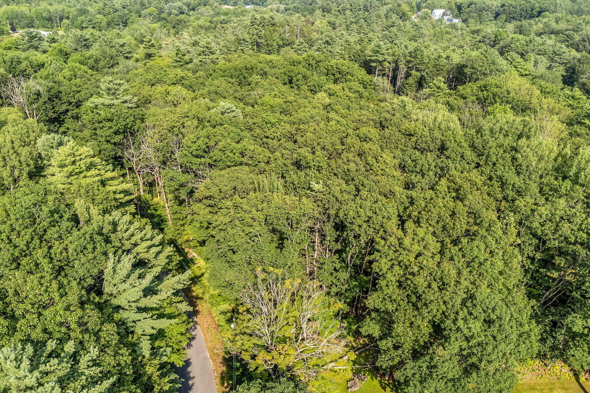 0 Sedgley Road, Greene, ME, 04236