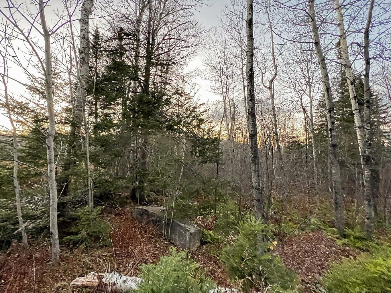 Lot 16 Mill Brook Road, Sandy River Plt, ME, 04970