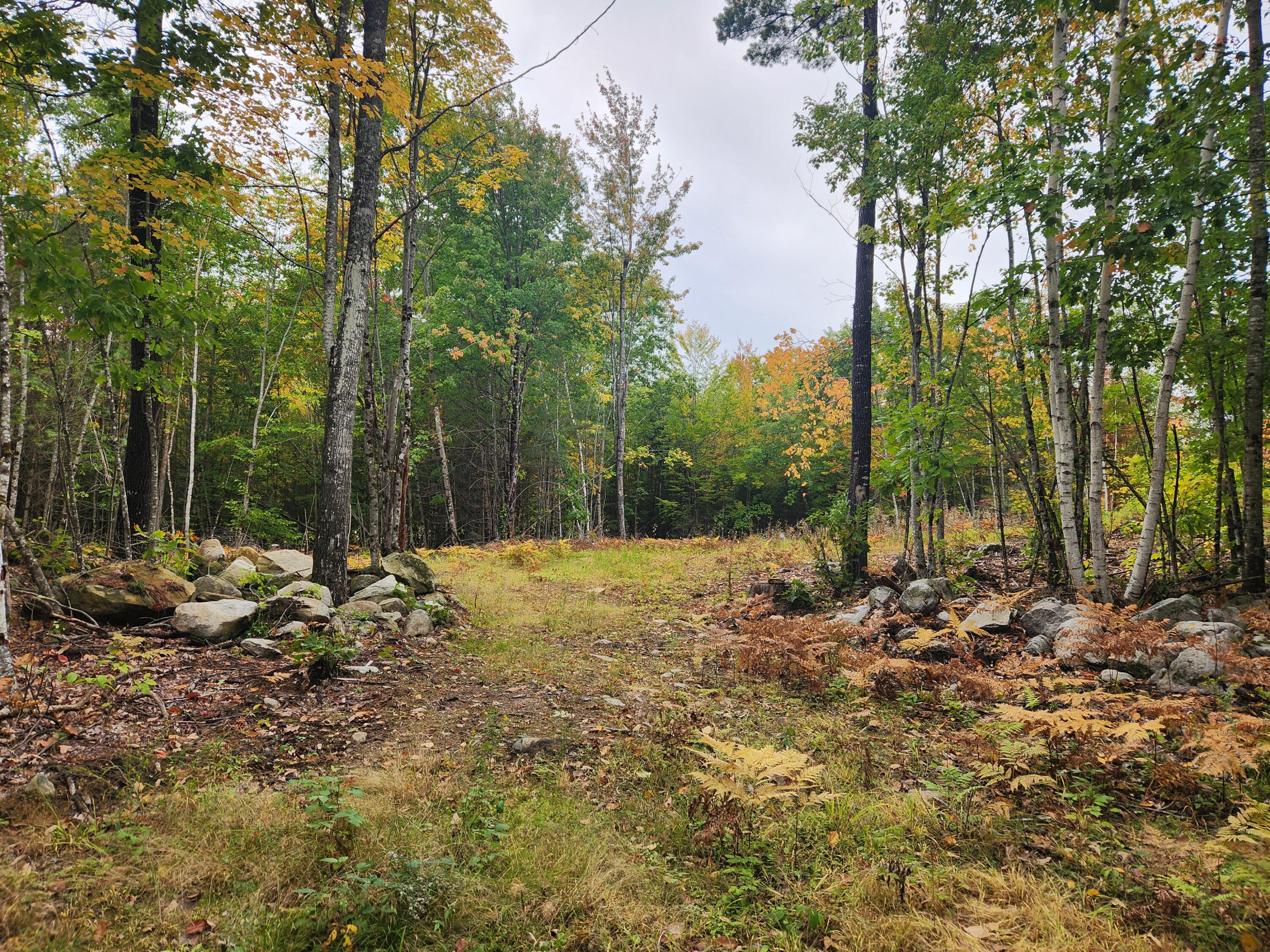 Property photo for Lot 6B Willy's Way, Buckfield, ME