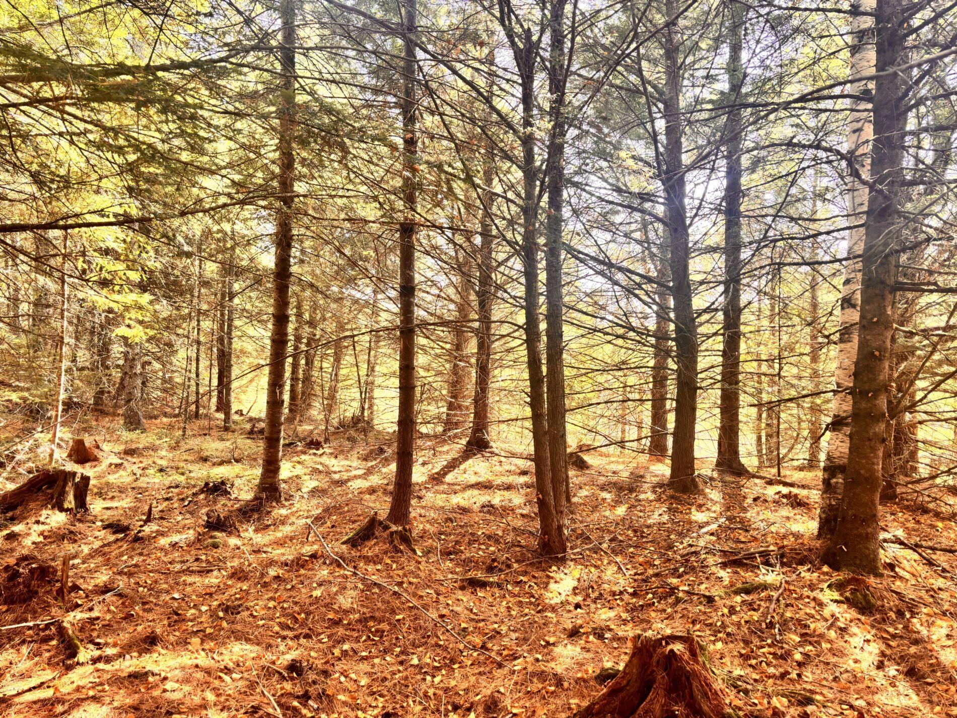 150 Bowden Point Road, Prospect, ME, 04981