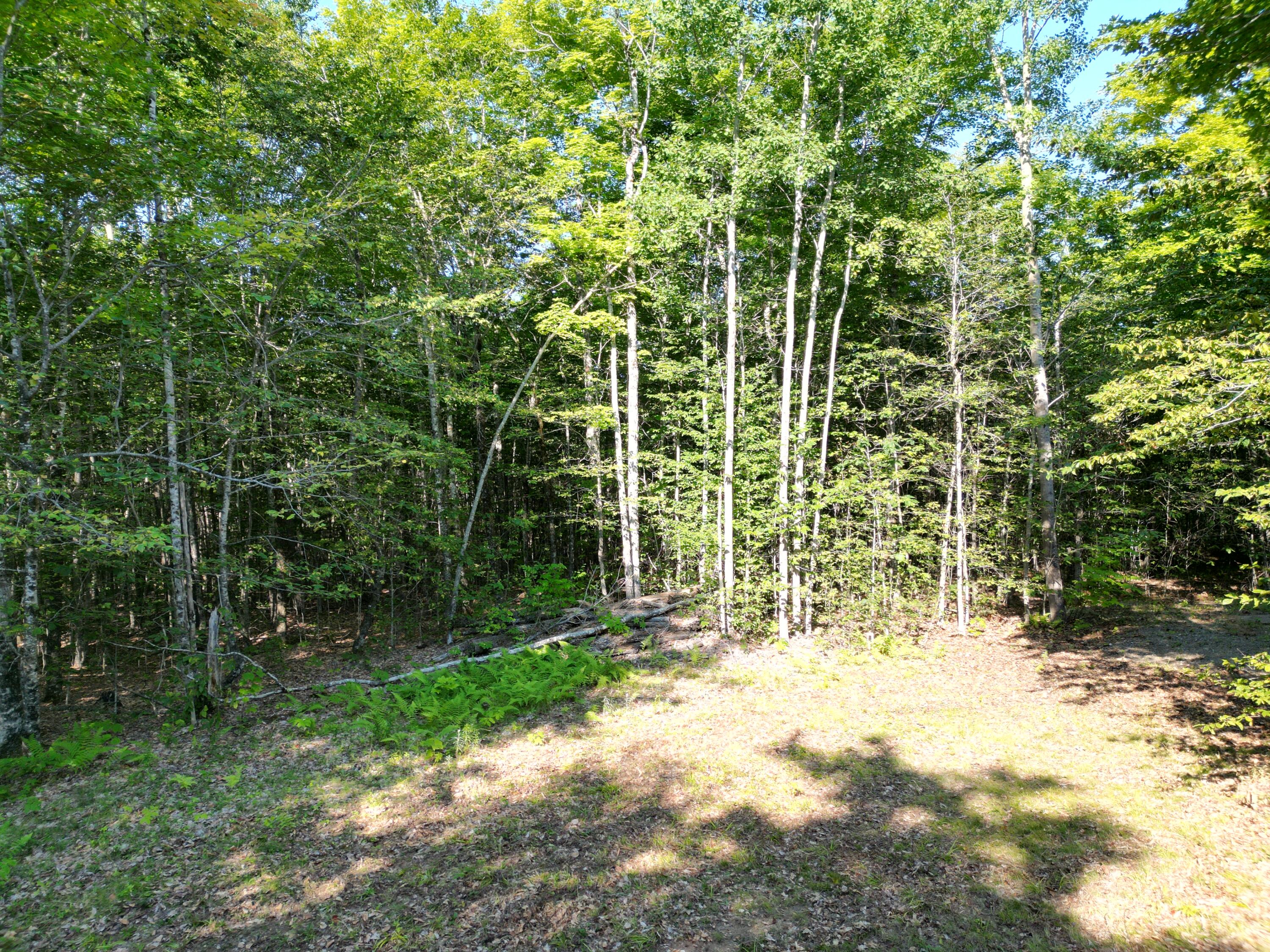 29 Spaulding Lane, Lee, ME 04455 DJI_0975