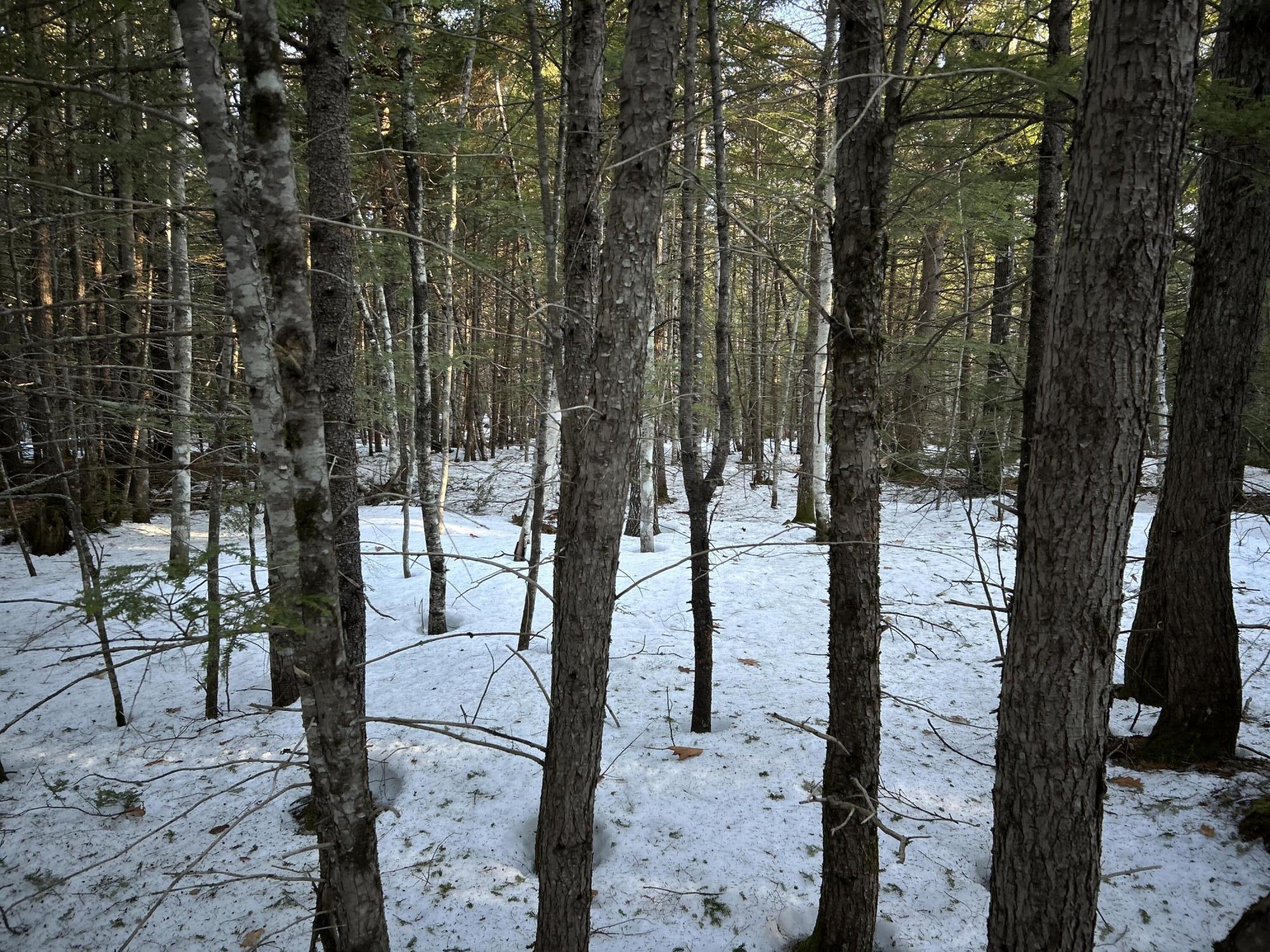 Map13Lot11 Field View Road, Fryeburg, ME, 04037