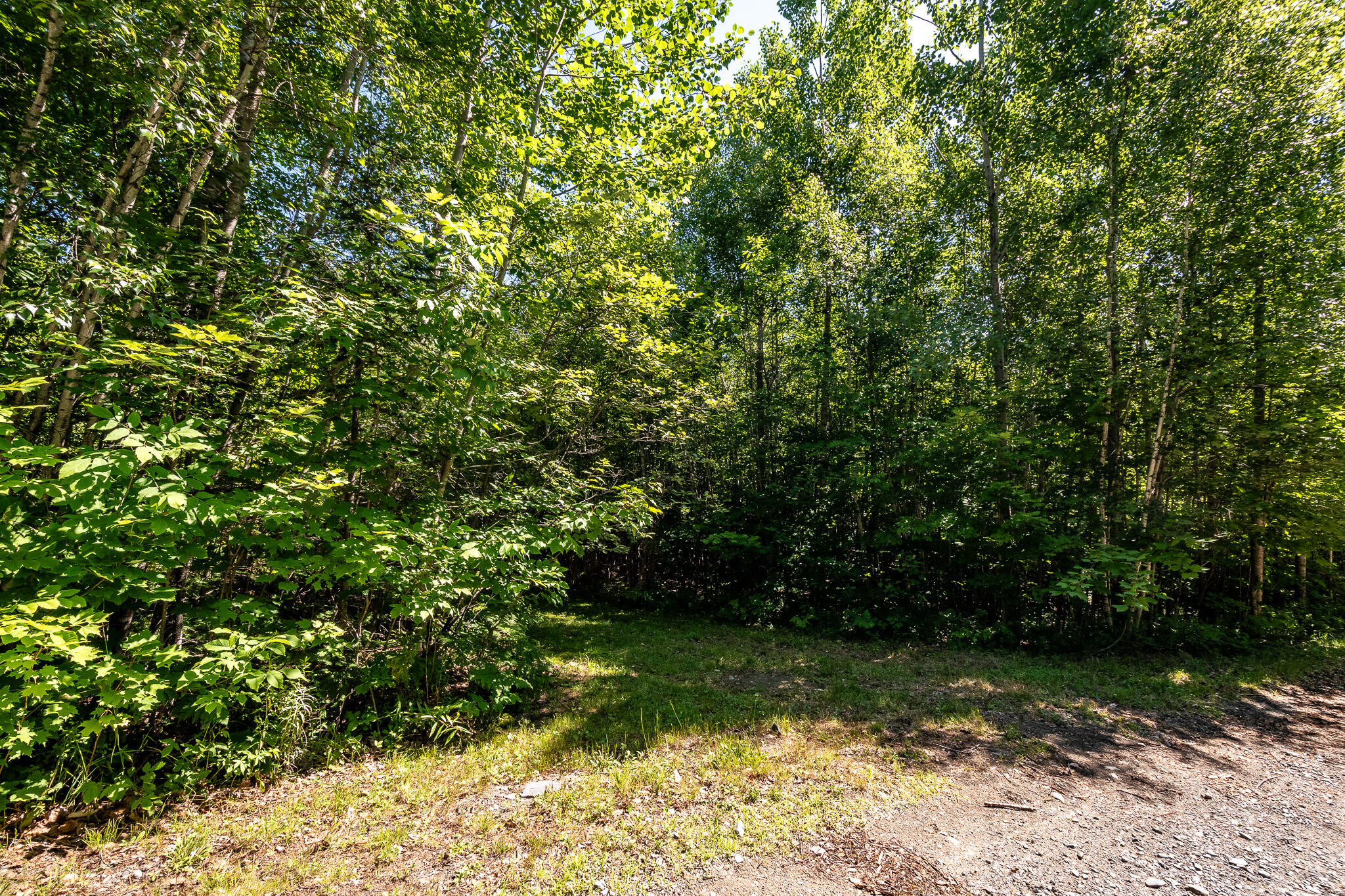 Lot 18-5 Woodland Lane, #Map 2, Brownville, ME 04414 DSC_0272