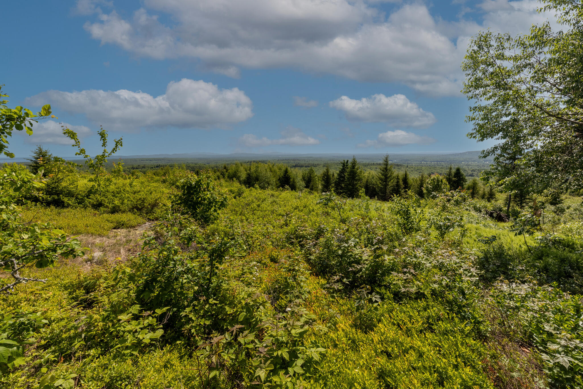 533 Mount Ephraim Map 4 Lot 63 Road, Searsport, ME, 04974