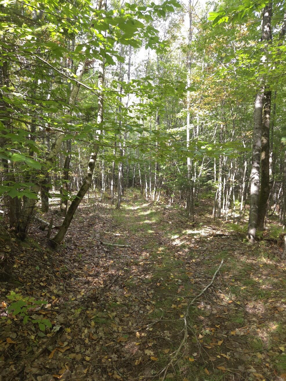 125 High Street, West Paris, ME 04289 Walking Trails on Property