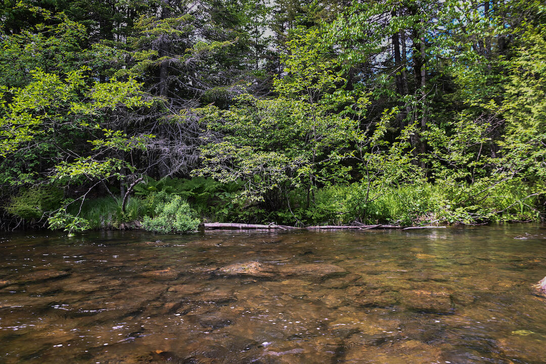 Tax Map 20 Beaver Mountain Road, Sandy River Plt, ME, 04970
