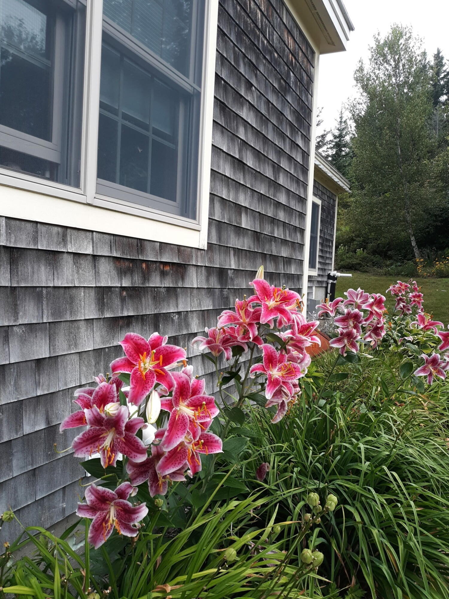 63 Raccoon, Cushing, ME, 04563