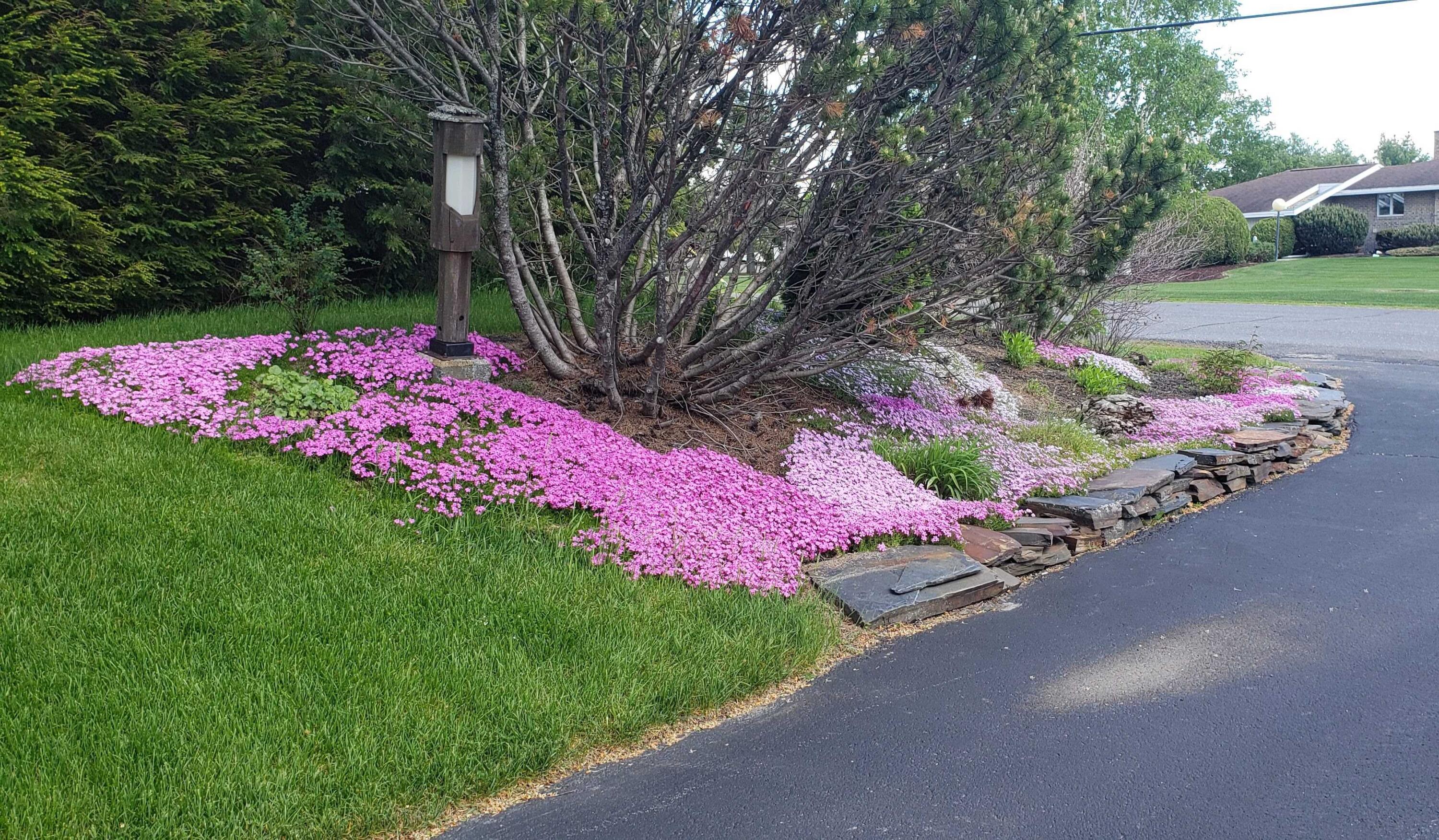 309 State Street, Presque Isle, ME, 04769