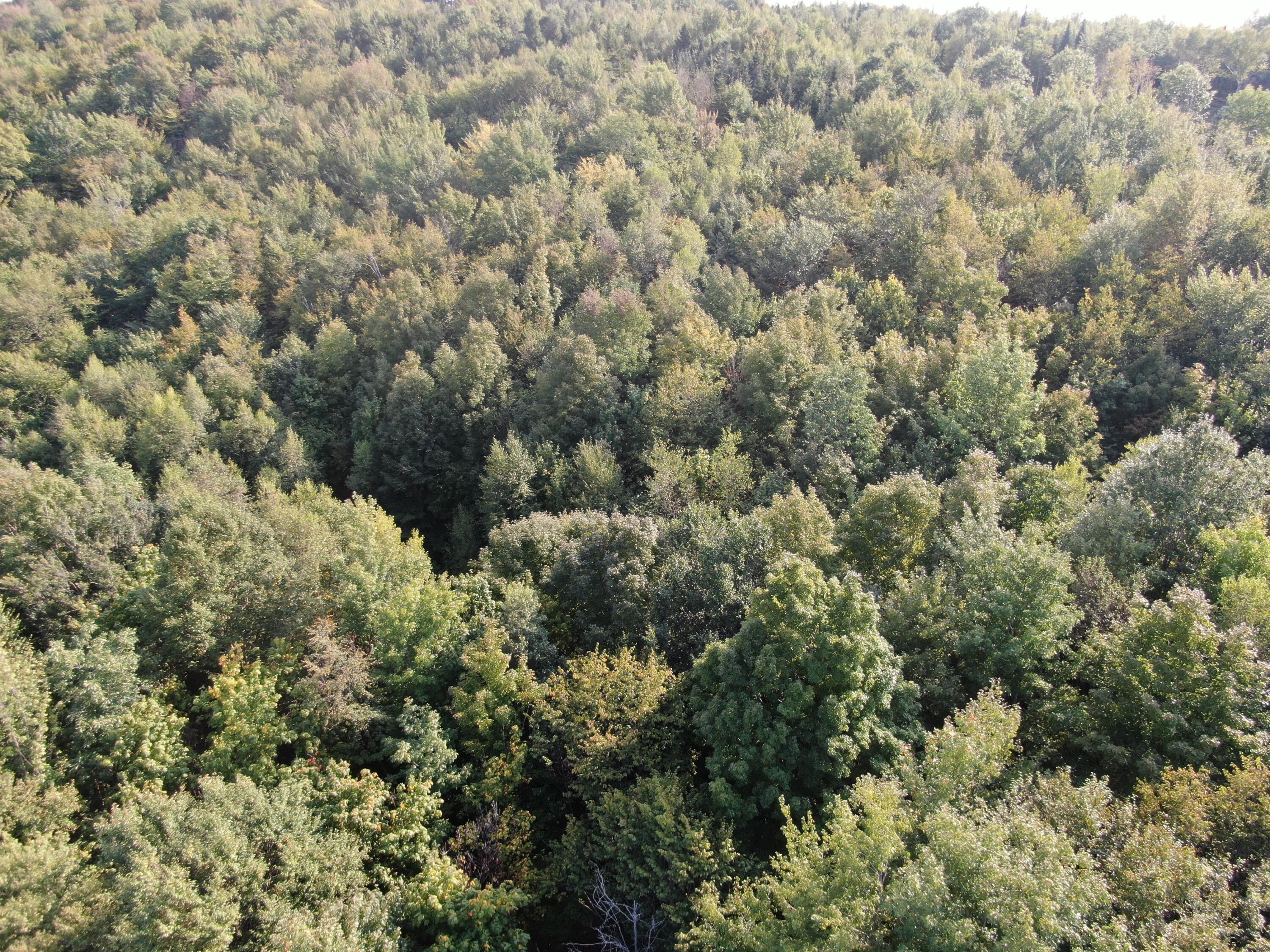 LotUNIT&nbsp;55 Arlines Way, Woodstock, ME, 04219