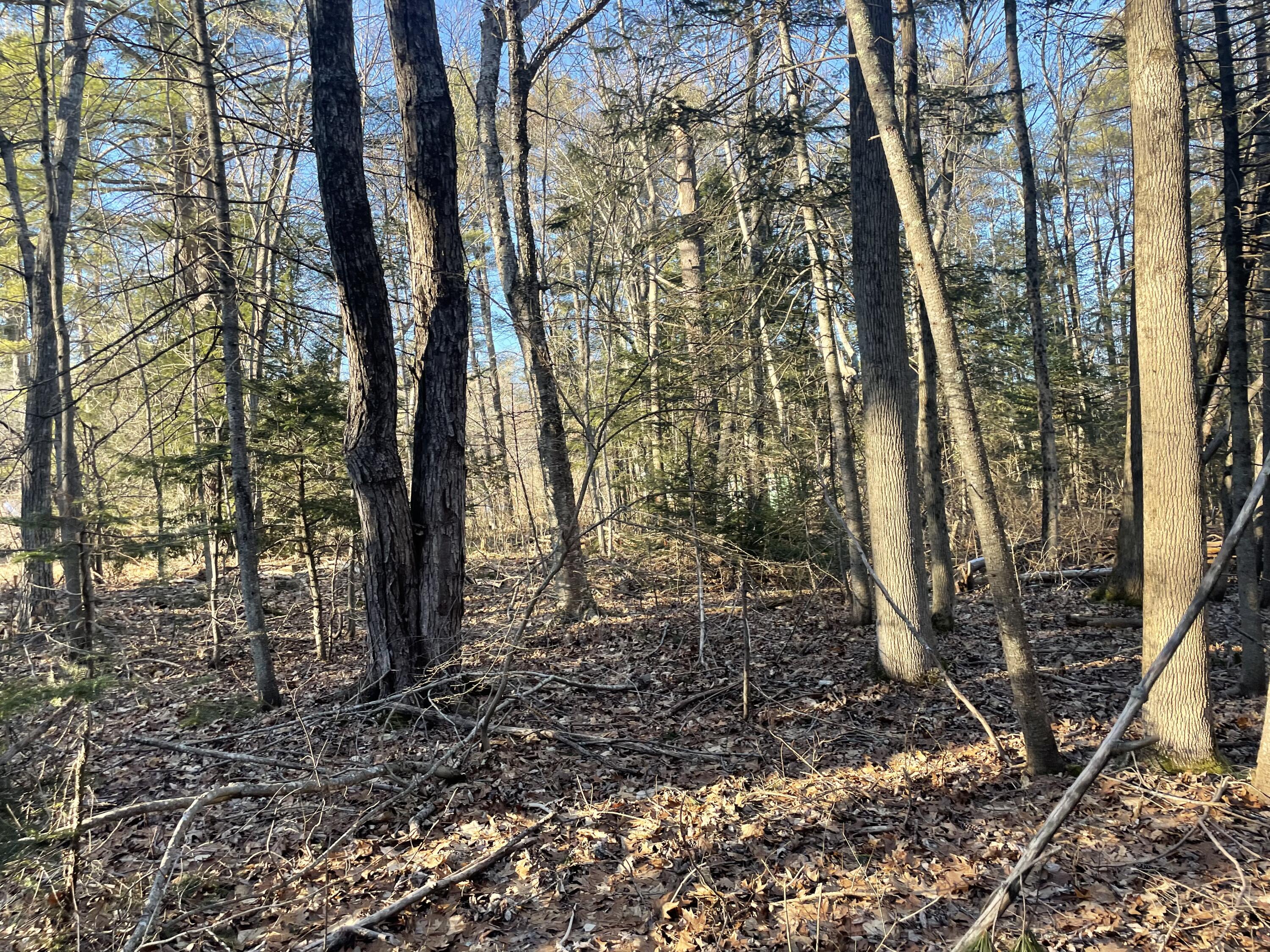 0 Cross Street, Manchester, ME, 04351