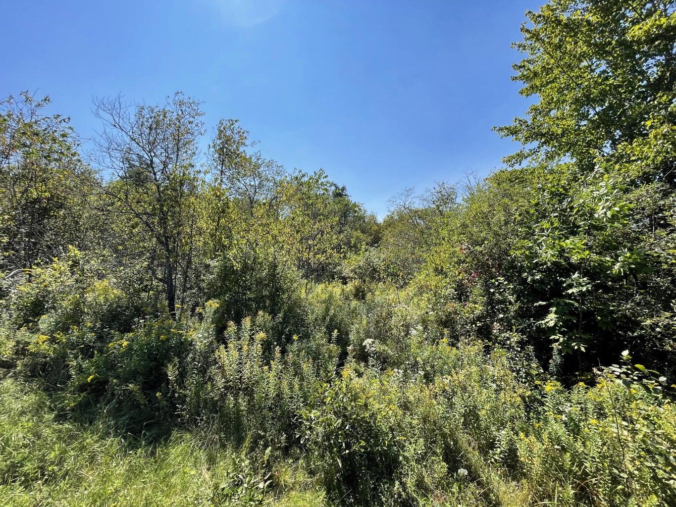 6-1 Hadley Lake Road, East Machias, ME, 04630