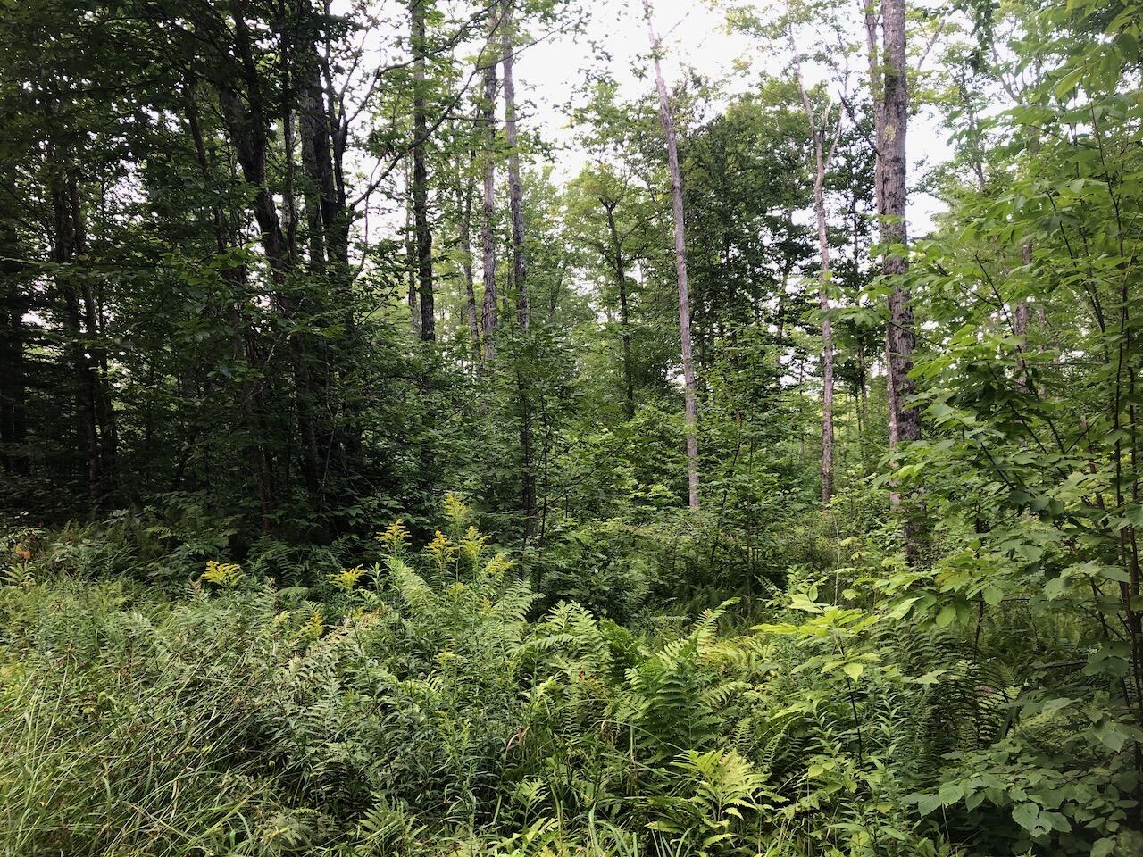 06 Swett Brook Lane, Weld, ME, 04285