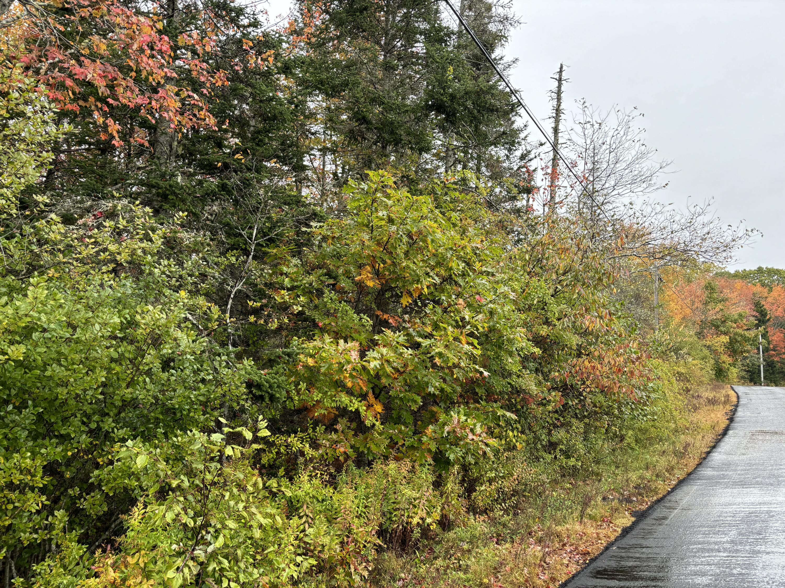 253 Hathorne Point Road, Cushing, ME, 04563