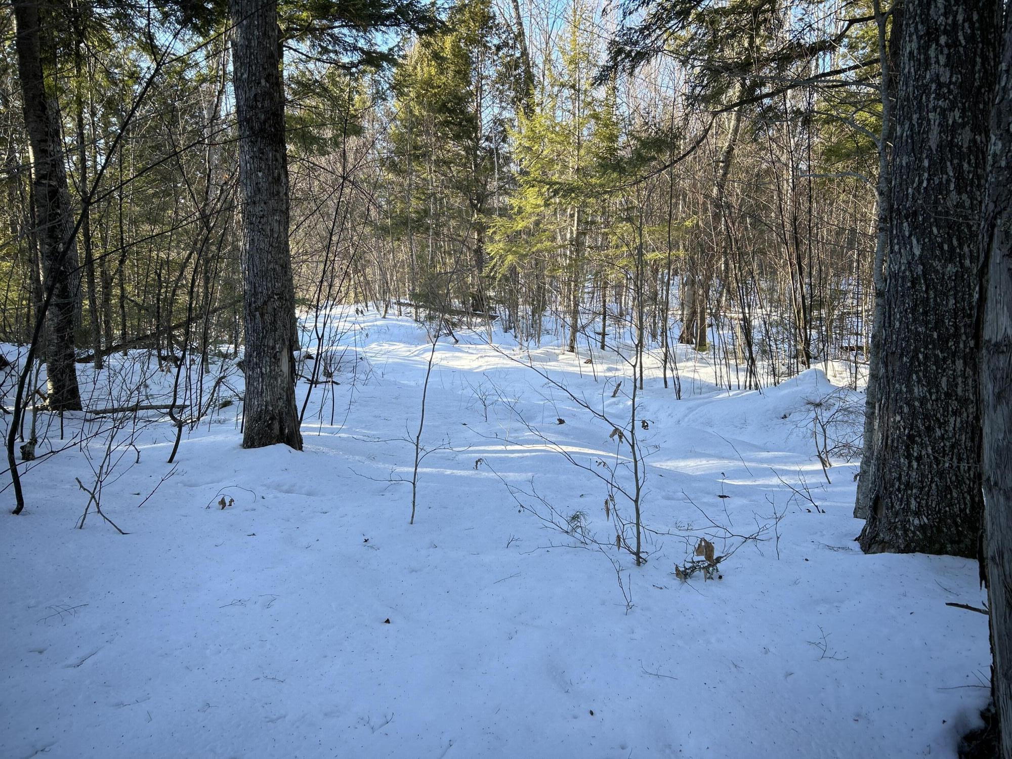 M7L22 Nelson Ridge Road N, Washington, ME, 04574