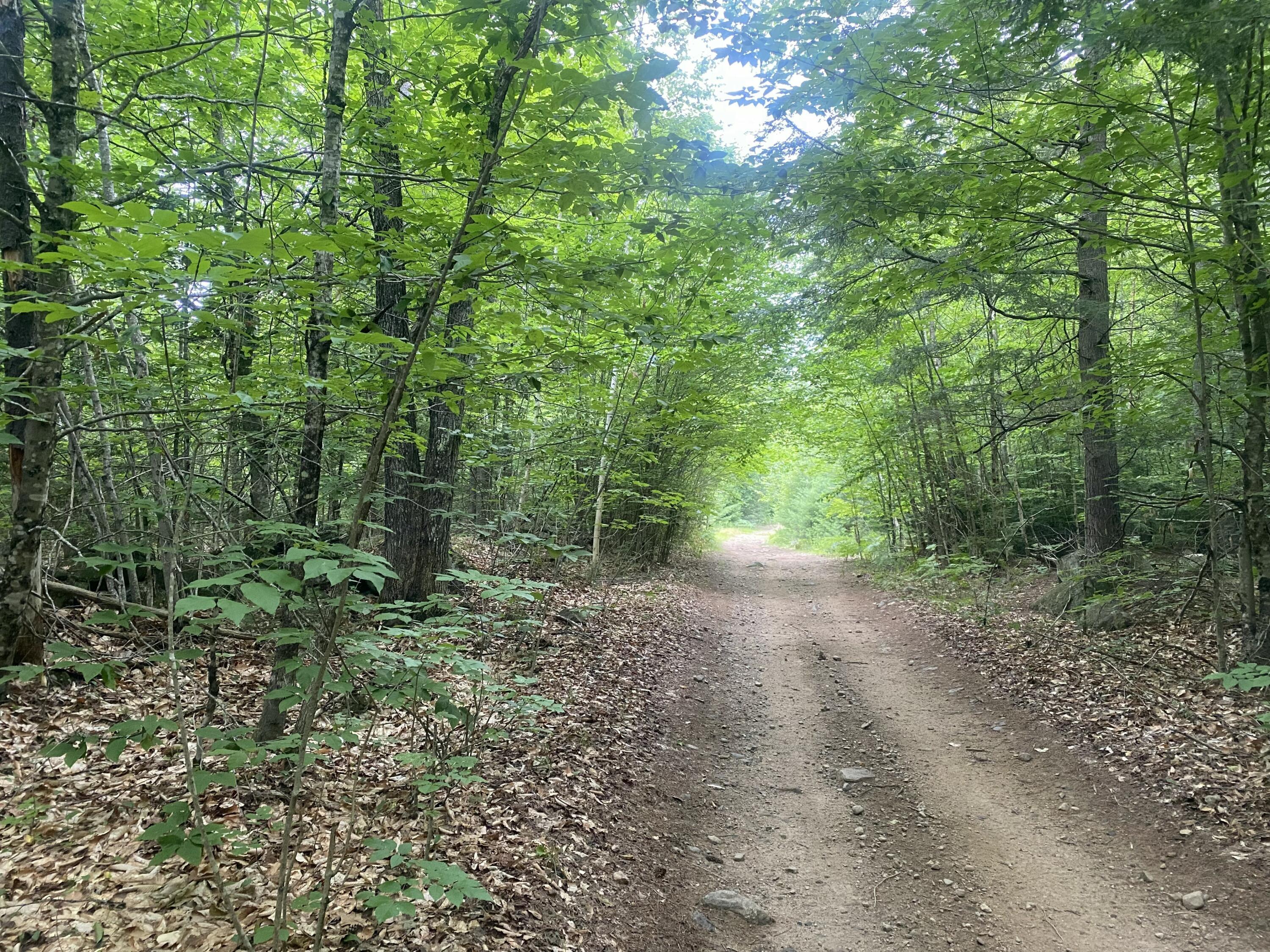 Photo of 36AC Tucker Road Porter ME 04068