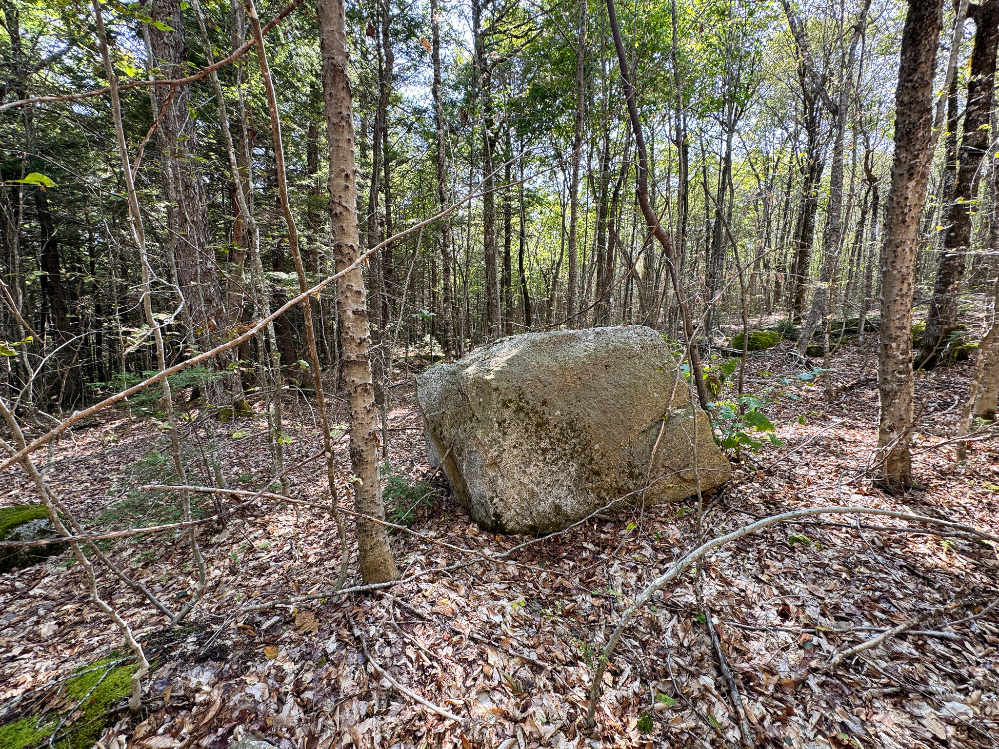 P/O M29L23 Bluff Road, Enfield, ME, 04493