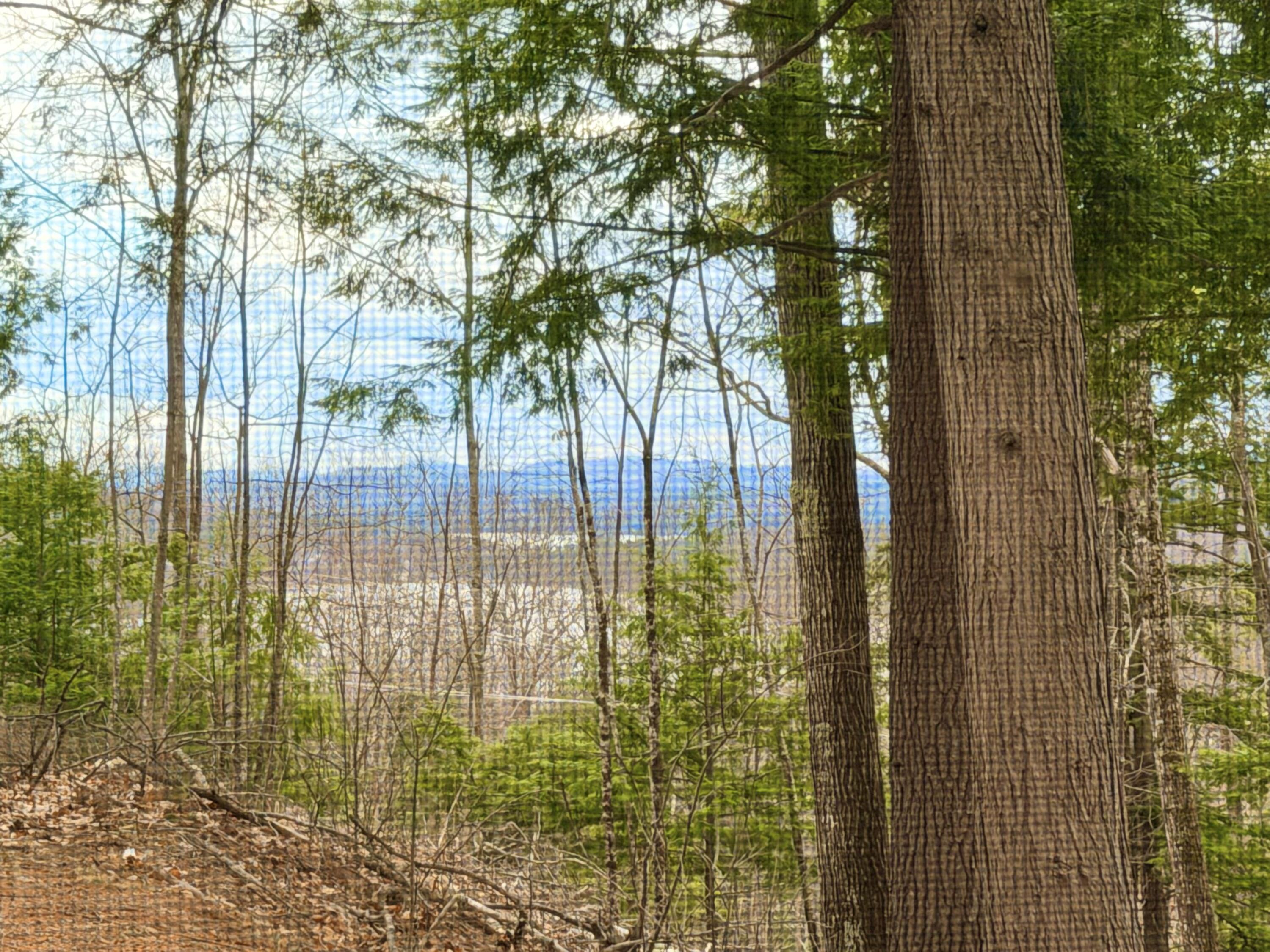 190 Deer Hill Road, Harrison, ME, 04040