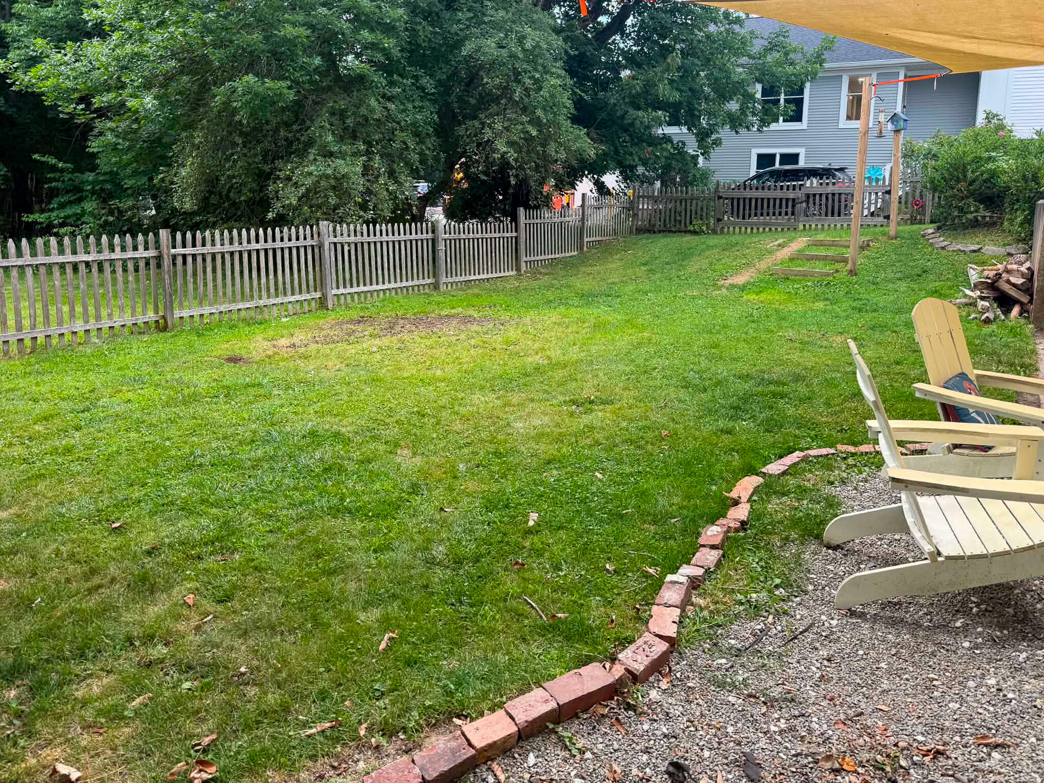 Backyard_(1)
