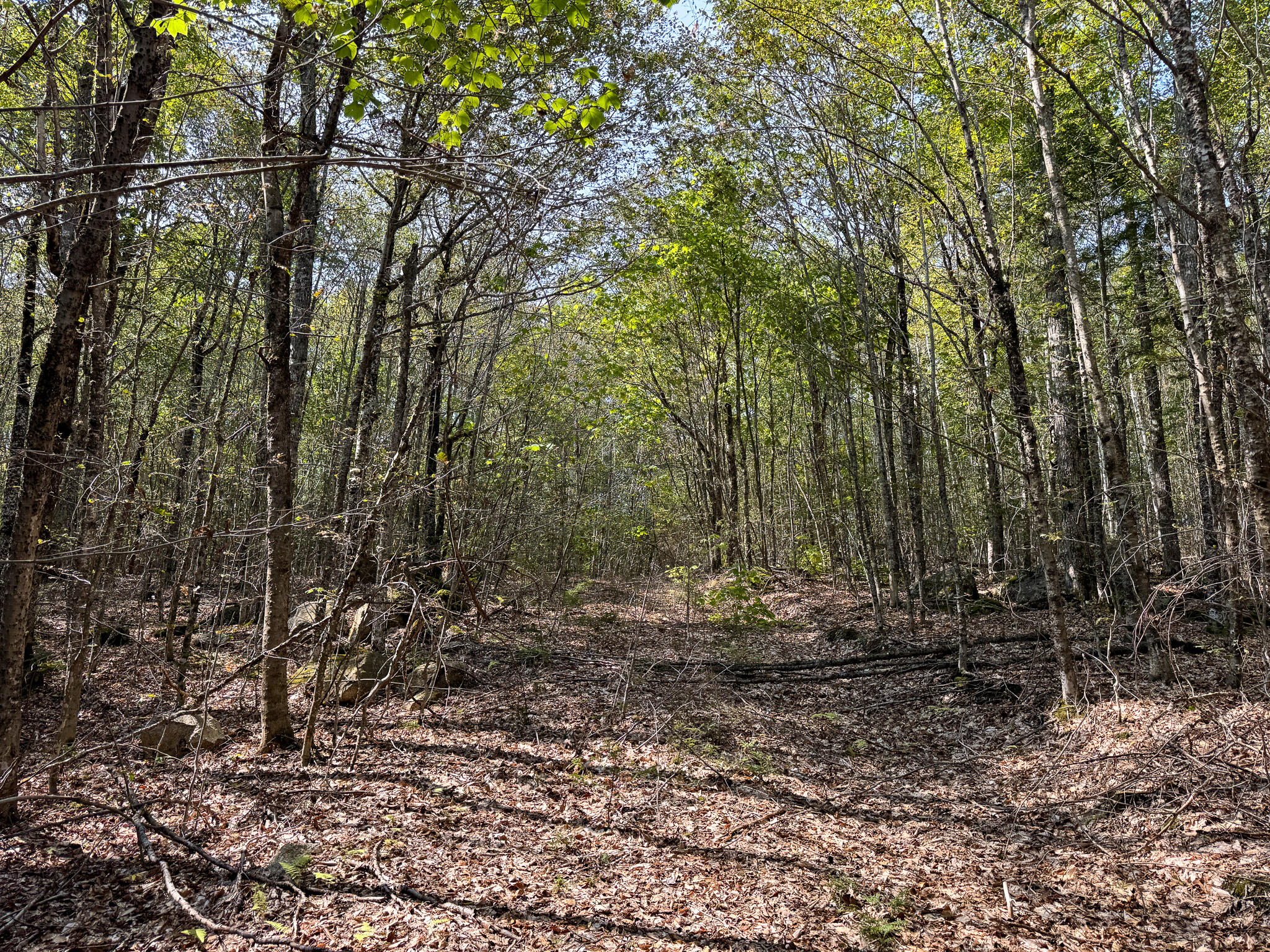 P/O M29L23 Bluff Road, Enfield, ME, 04493