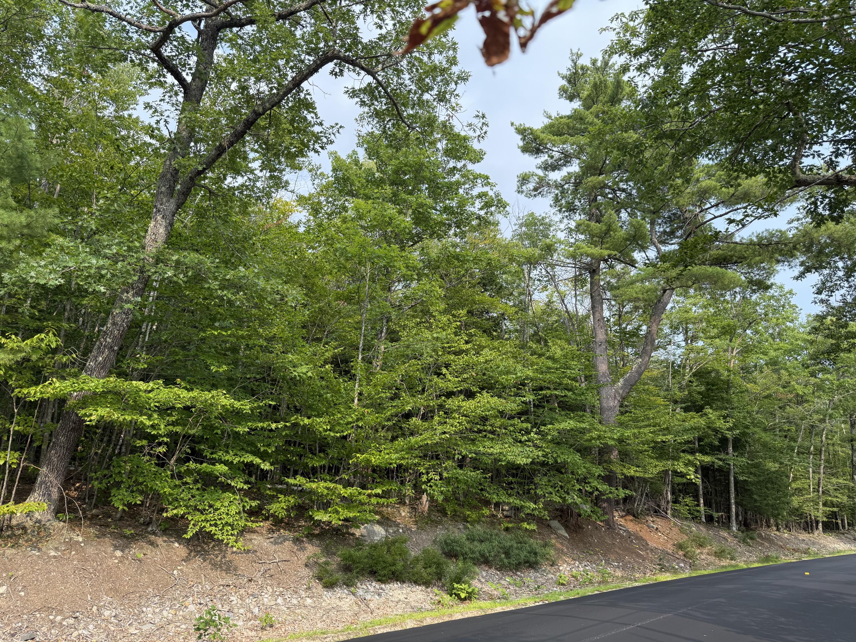 Lot 15-3B Sweden Road, Bridgton, ME, 04009