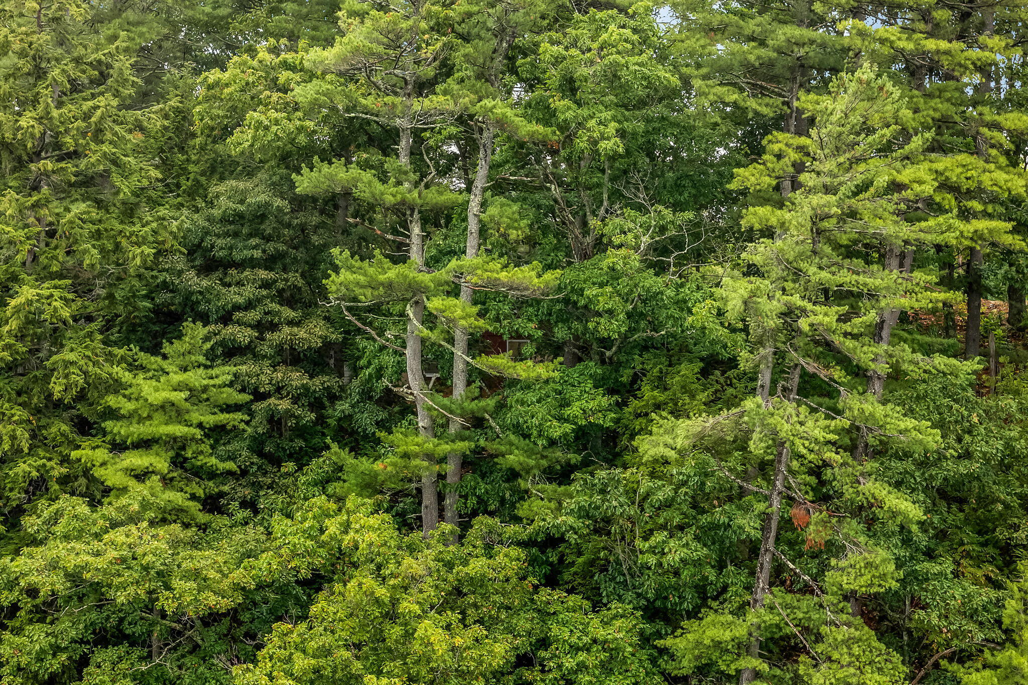 12 Rowell Road, Hampden, ME, 04444