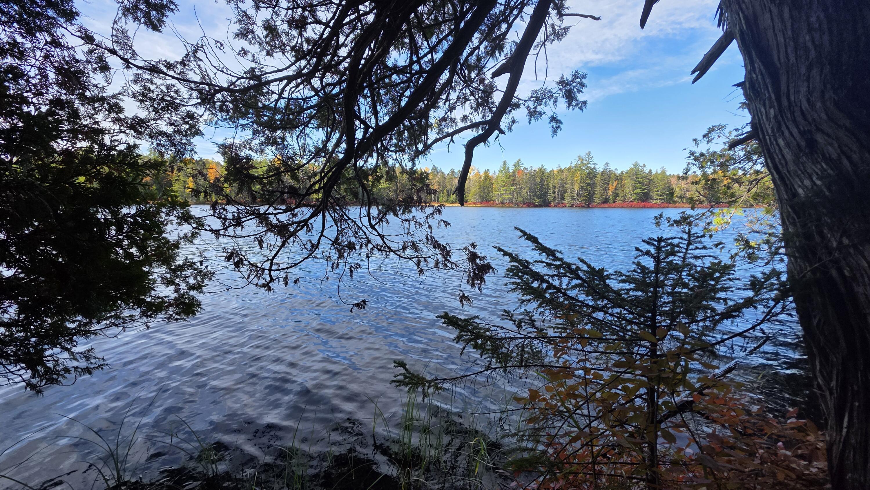 Photo of Lot 516 Ash Street Wesley ME 04686