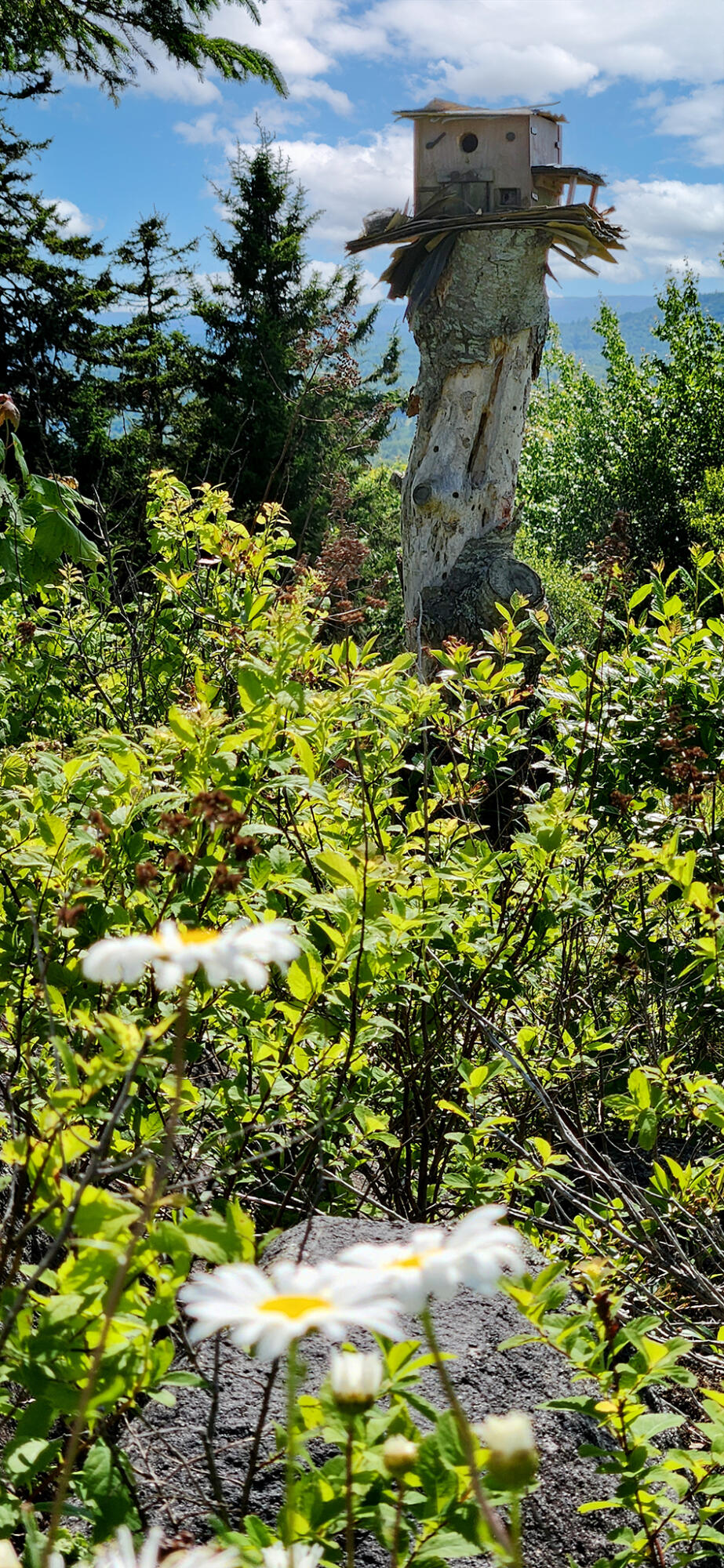 533 Mount Ephraim Map 4 Lot 63 Road, Searsport, ME, 04974