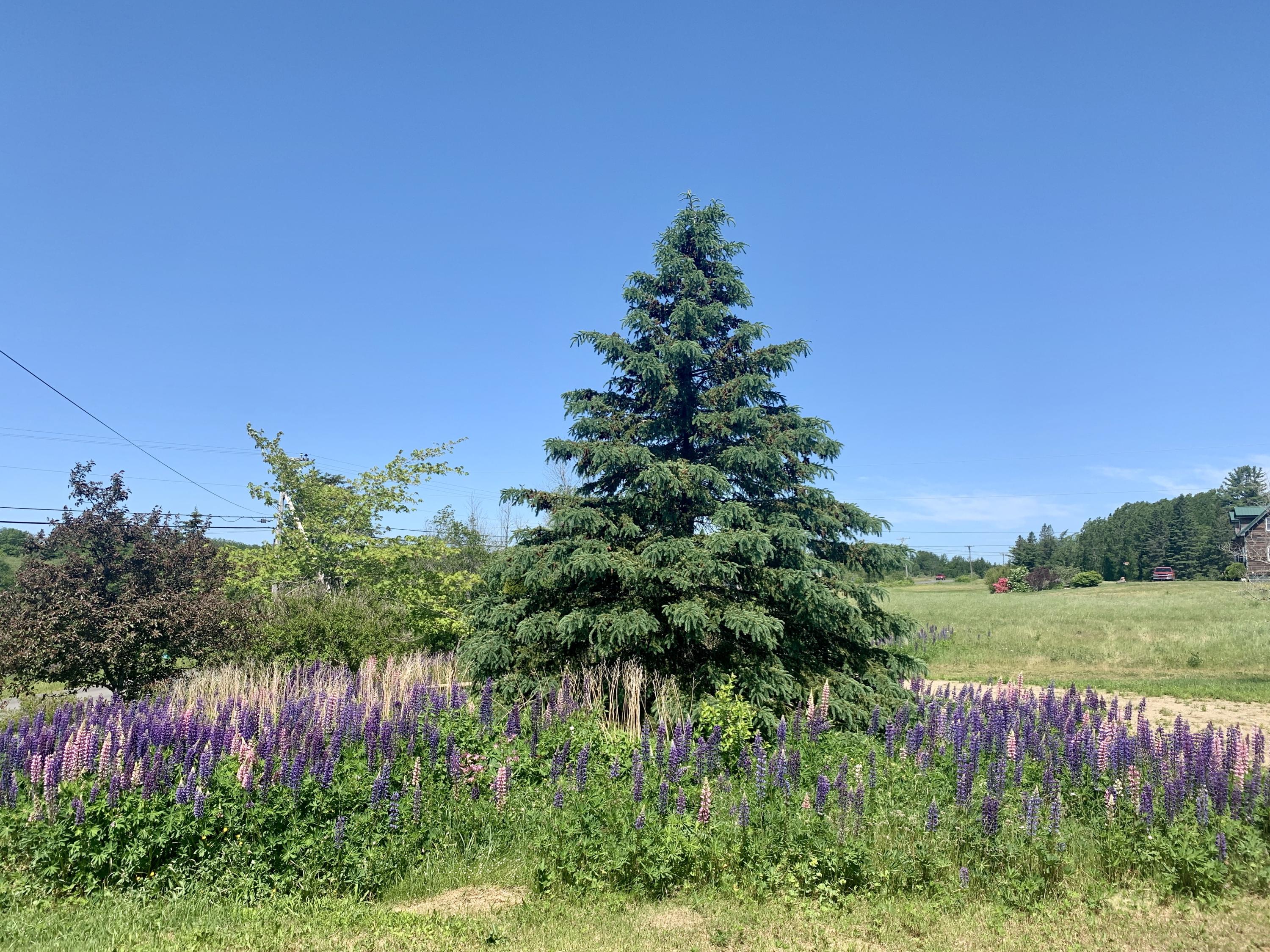 1 Daggett Road, Perry, ME, 04667